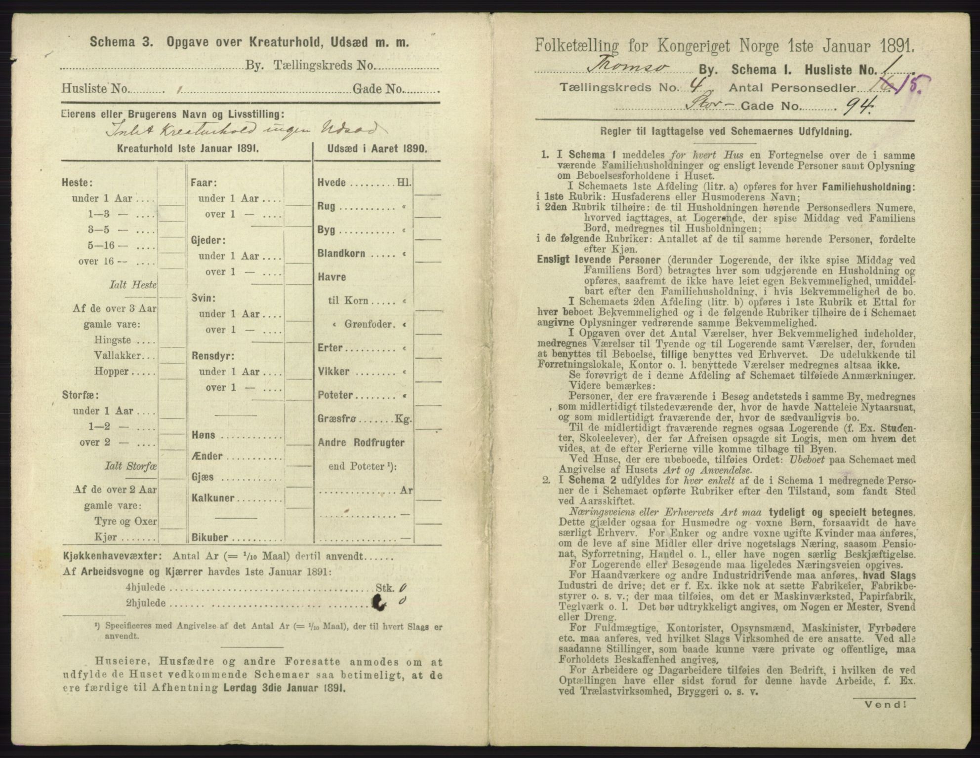 RA, 1891 census for 1902 Tromsø, 1891, p. 3991