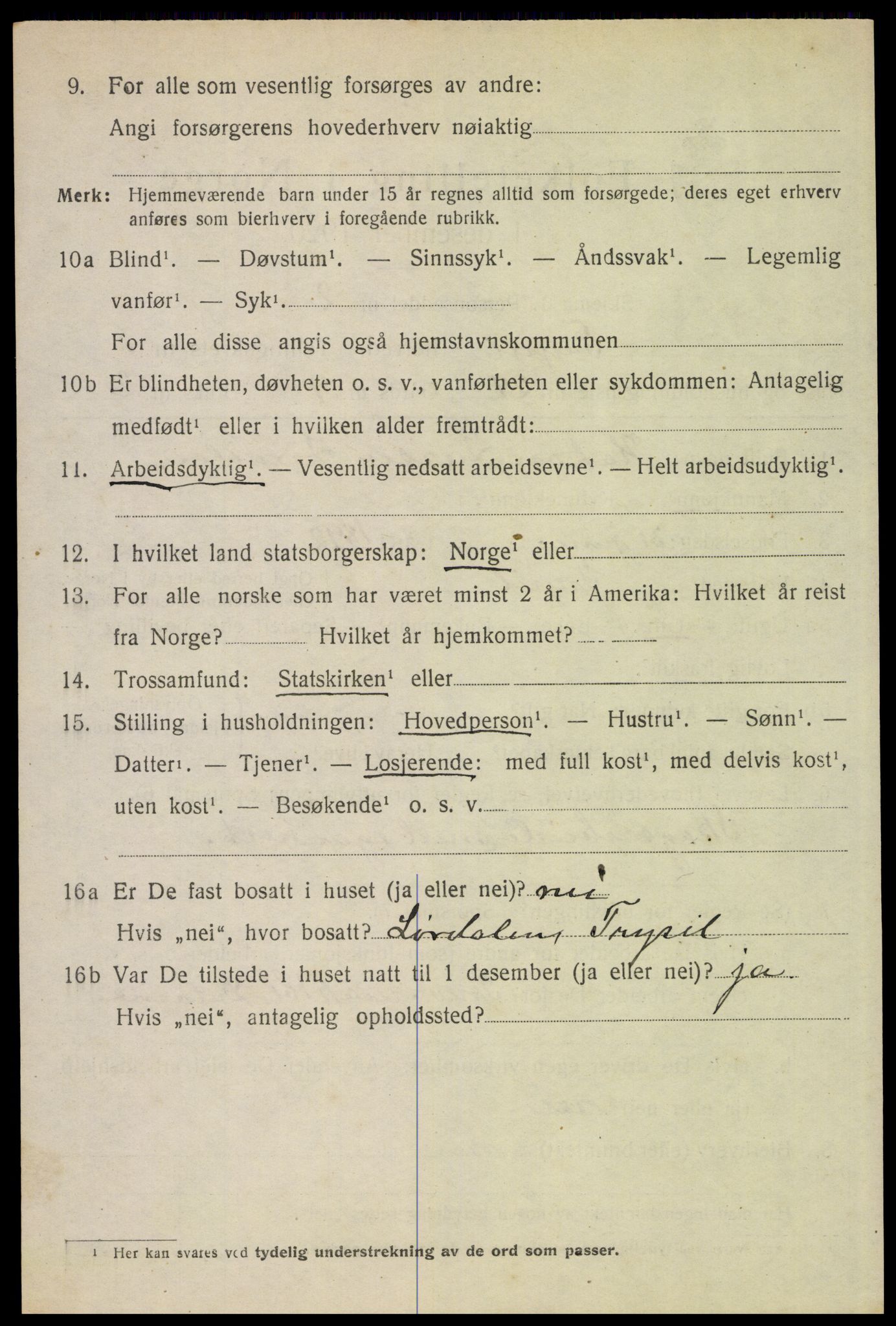 SAH, 1920 census for Trysil, 1920, p. 4520