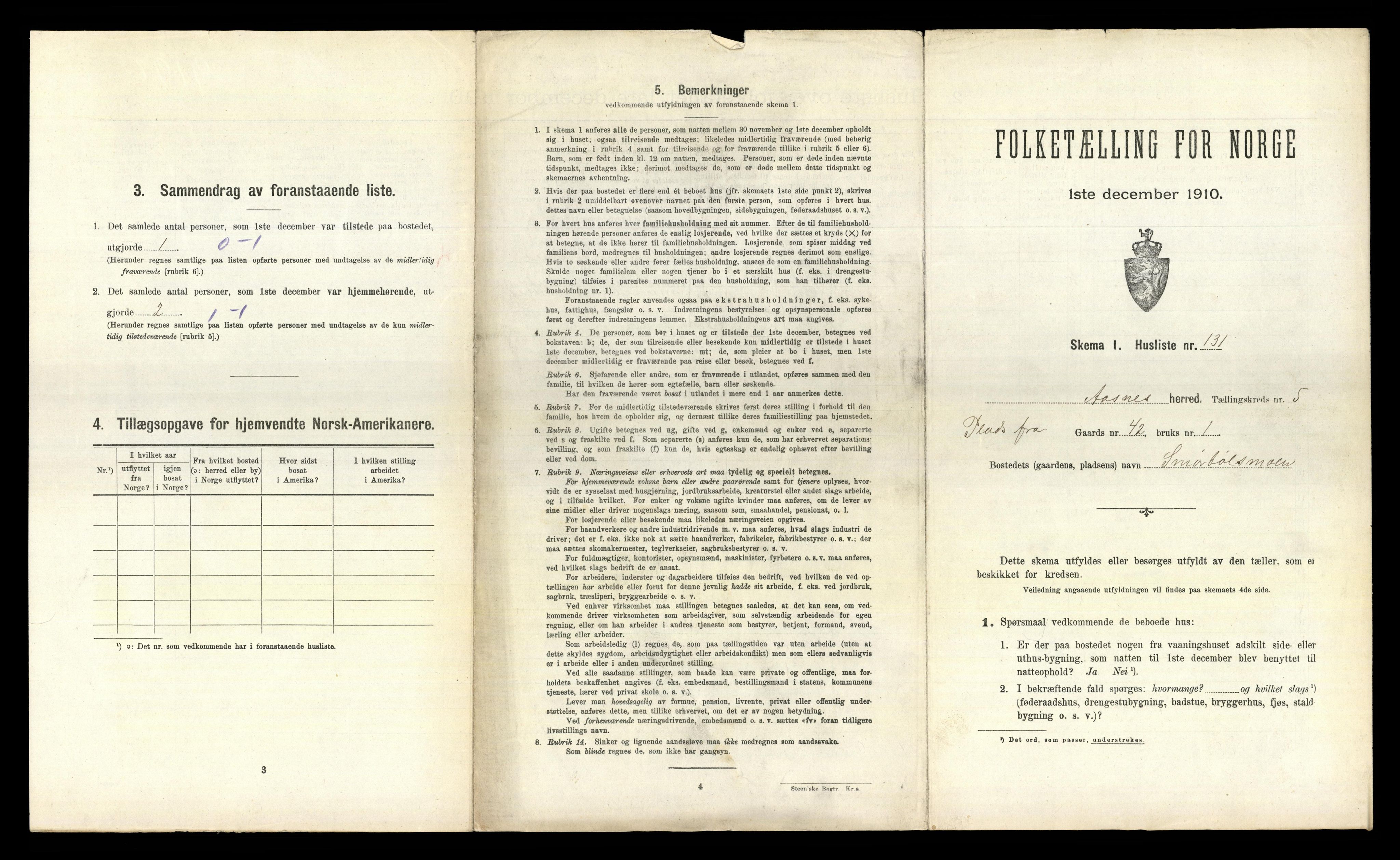 RA, 1910 census for Åsnes, 1910, p. 738