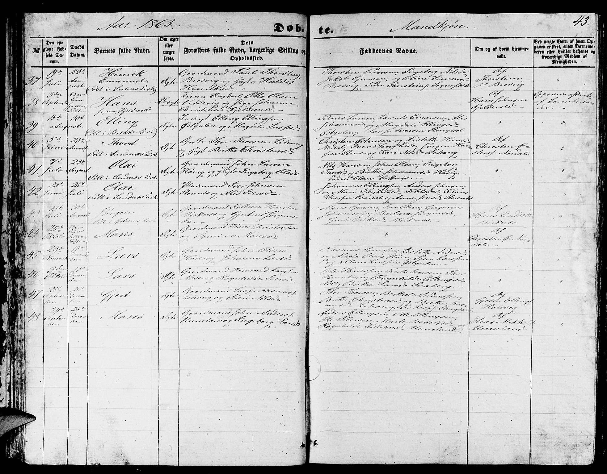 Gulen sokneprestembete, AV/SAB-A-80201/H/Hab/Habb/L0001: Parish register (copy) no. B 1, 1854-1866, p. 43