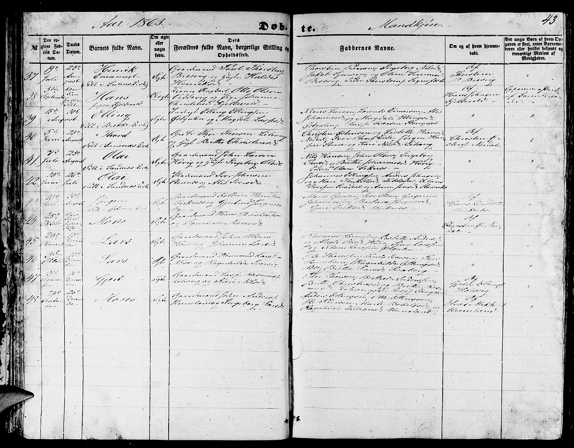 Gulen sokneprestembete, SAB/A-80201/H/Hab/Habb/L0001: Parish register (copy) no. B 1, 1854-1866, p. 43