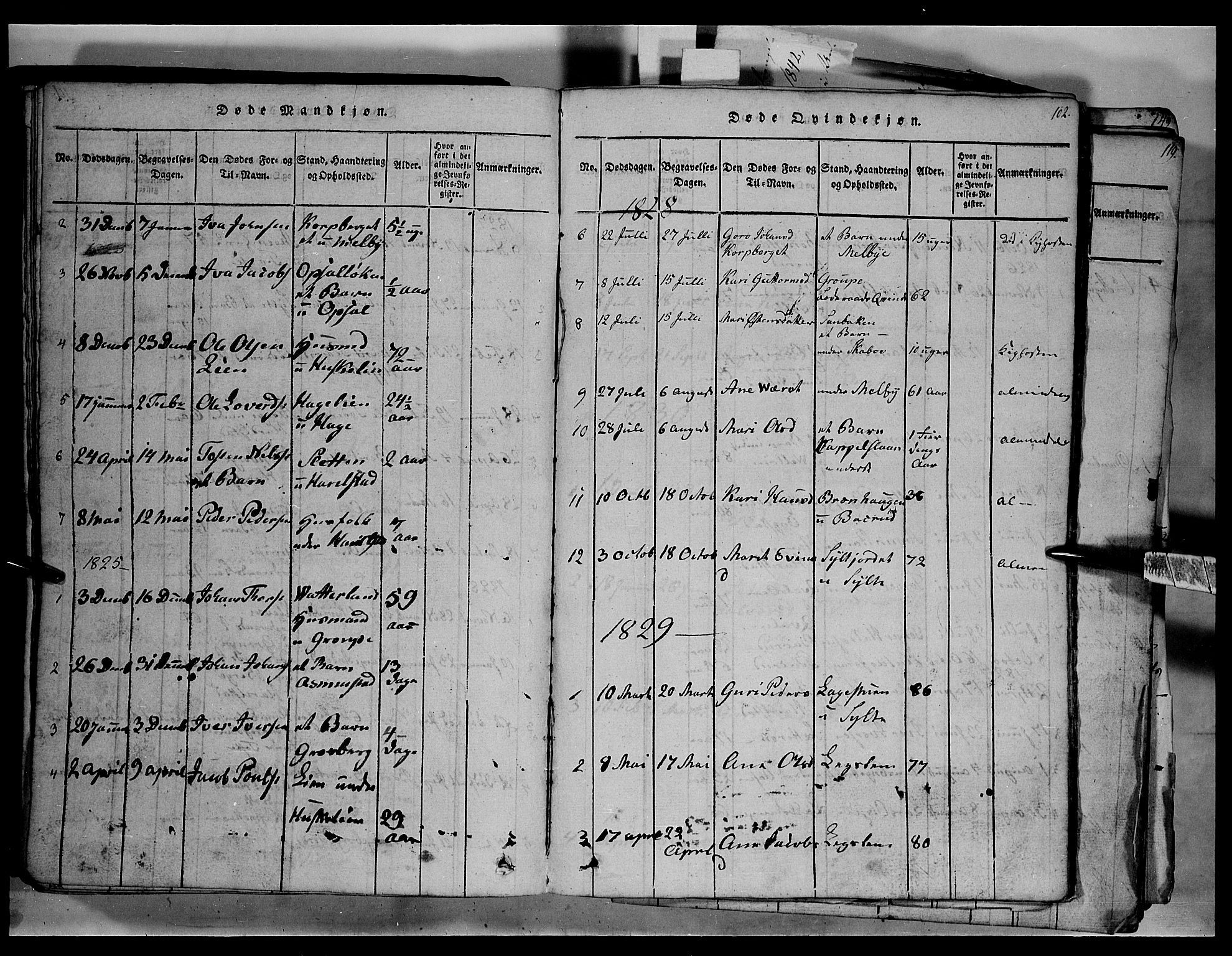 Fron prestekontor, SAH/PREST-078/H/Ha/Hab/L0003: Parish register (copy) no. 3, 1816-1850, p. 102