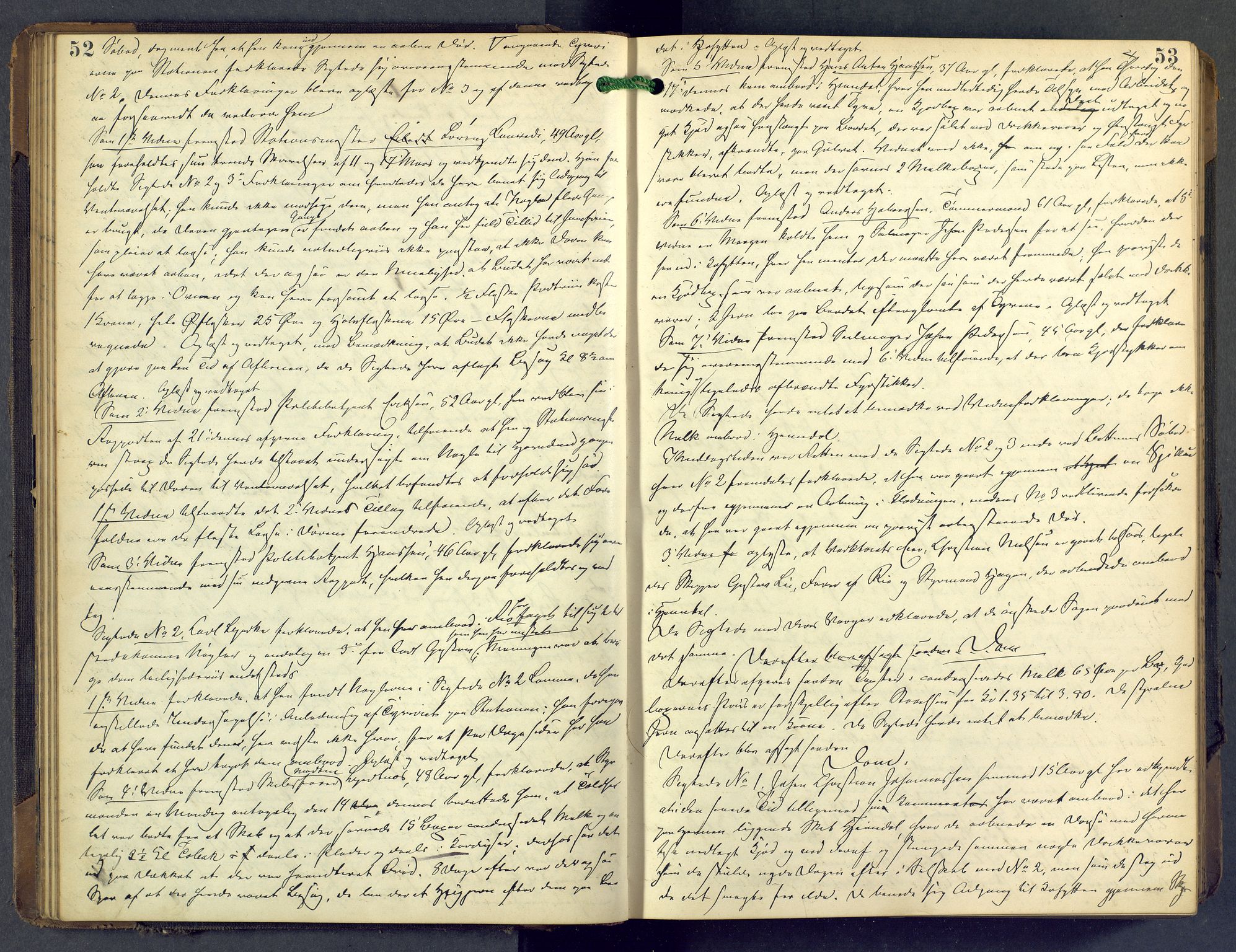 Nordre Jarlsberg sorenskriveri, AV/SAKO-A-80/F/Fb/Fba/L0028: Ekstrarettsprotokoll, 1891-1897, p. 52-53