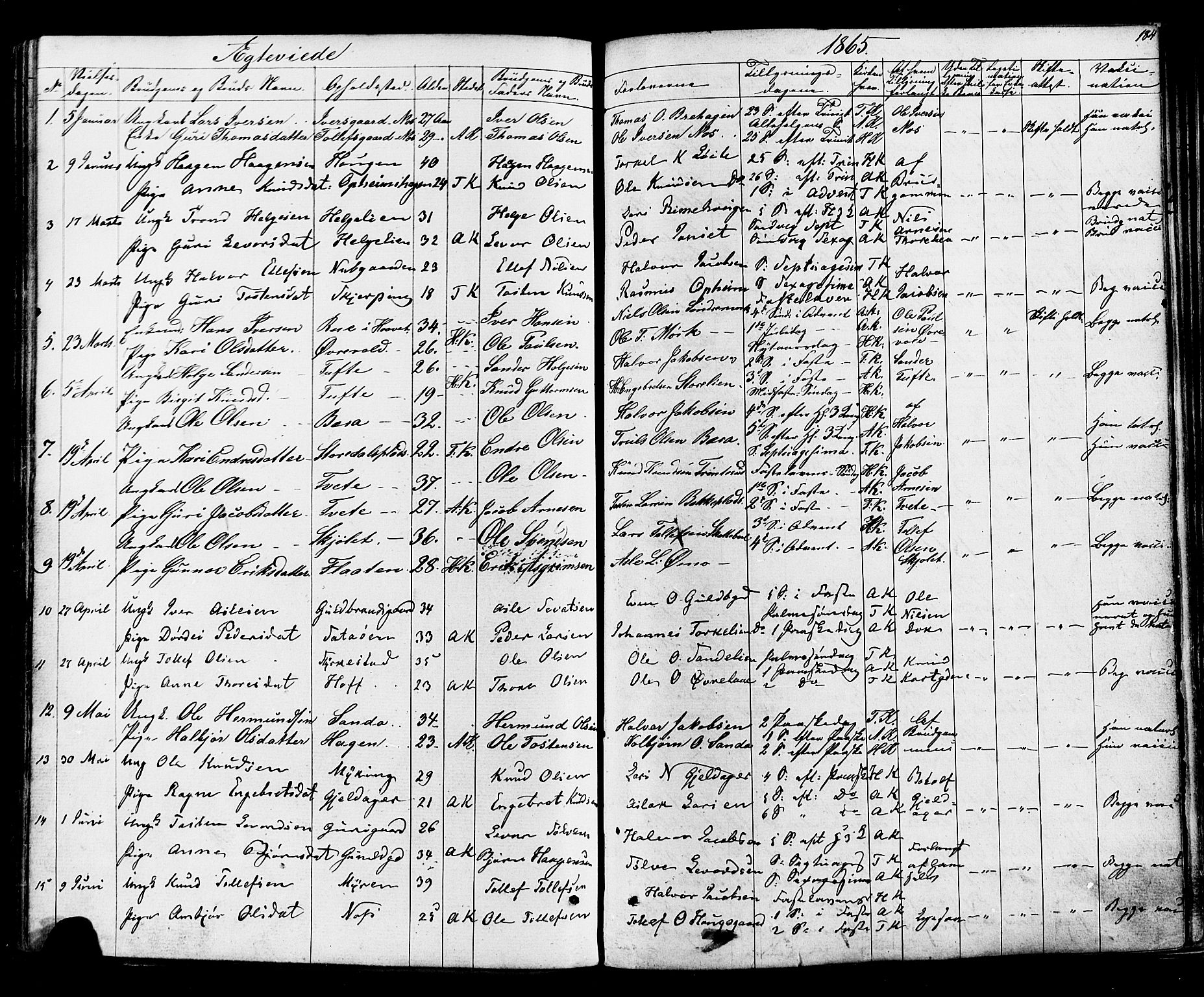 Ål kirkebøker, SAKO/A-249/F/Fa/L0007: Parish register (official) no. I 7, 1865-1881, p. 184