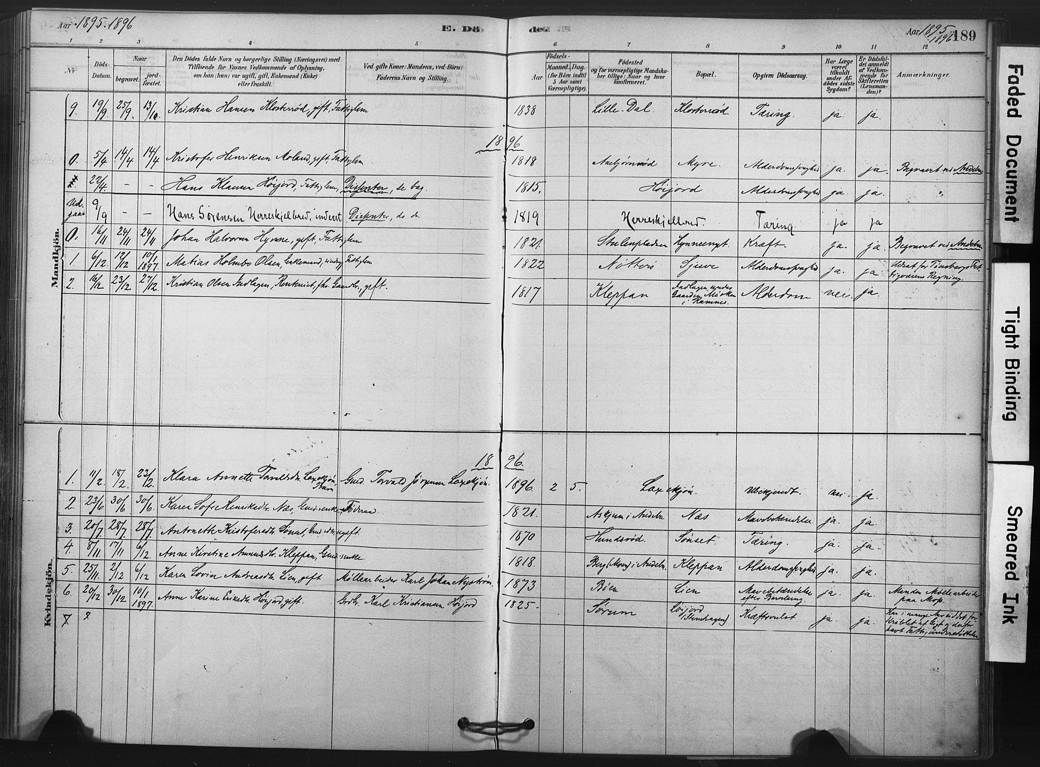 Andebu kirkebøker, AV/SAKO-A-336/F/Fa/L0009: Parish register (official) no. 9, 1878-1909, p. 189