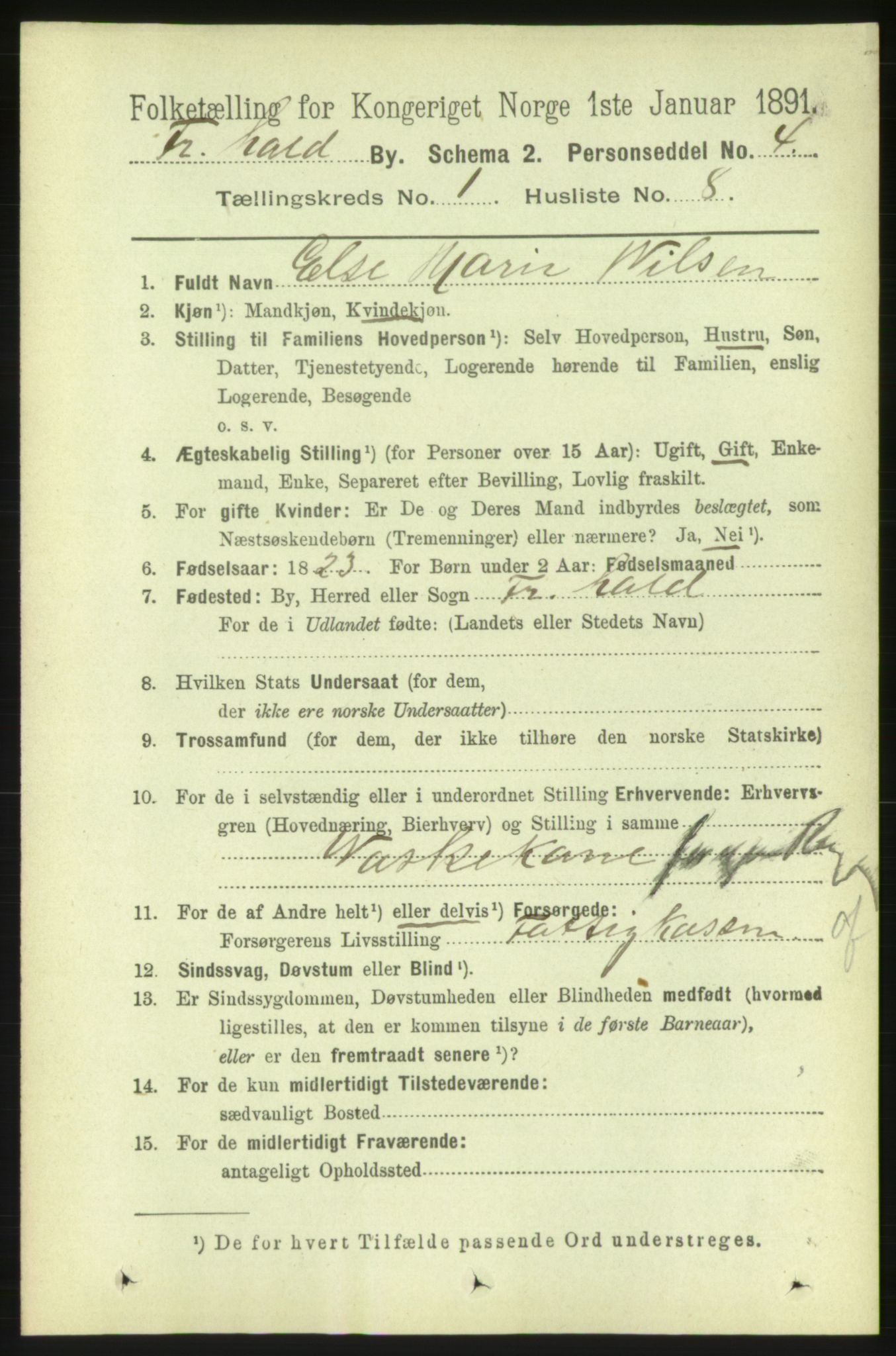 RA, 1891 census for 0101 Fredrikshald, 1891, p. 1996