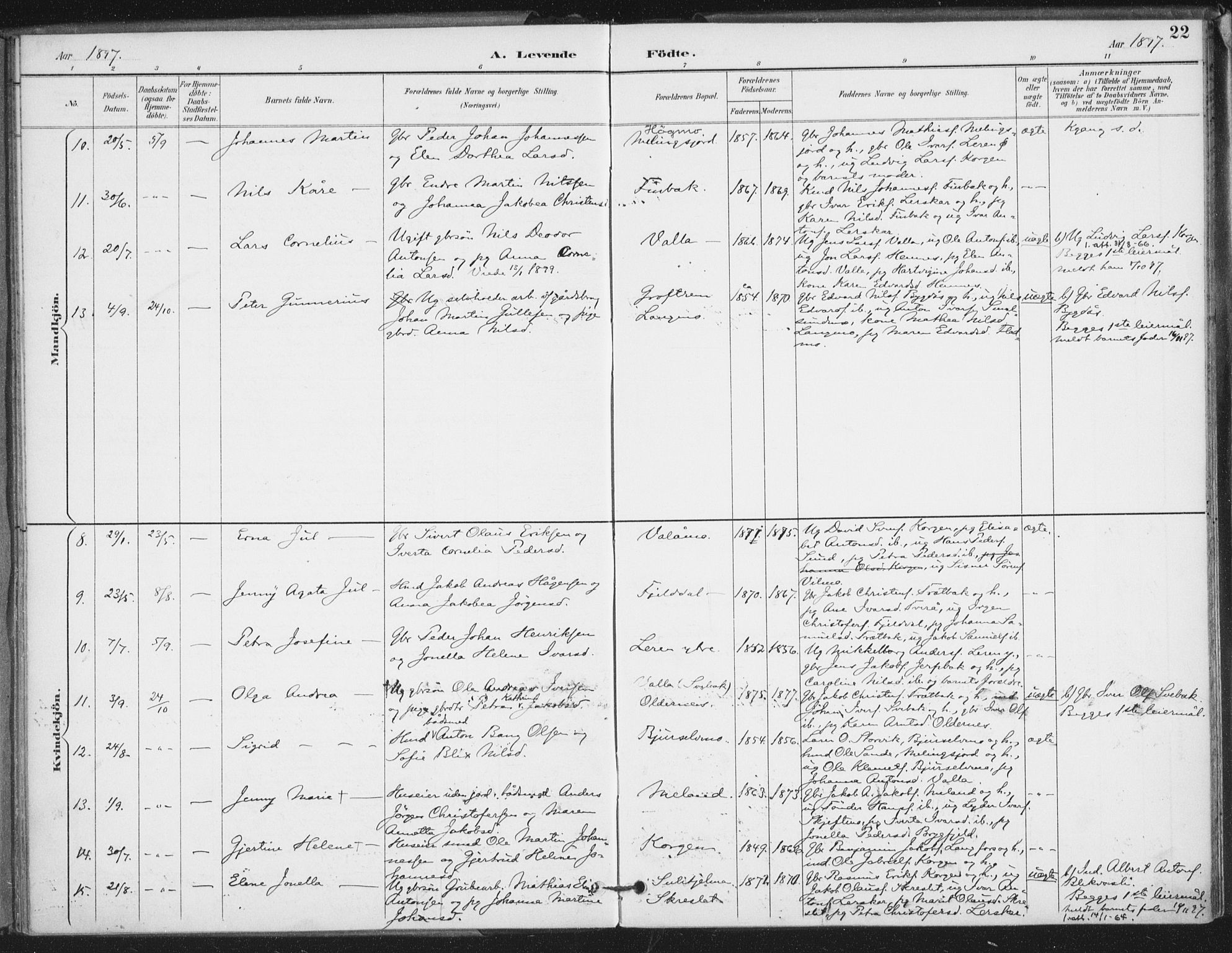 Ministerialprotokoller, klokkerbøker og fødselsregistre - Nordland, SAT/A-1459/826/L0380: Parish register (official) no. 826A03, 1891-1911, p. 22