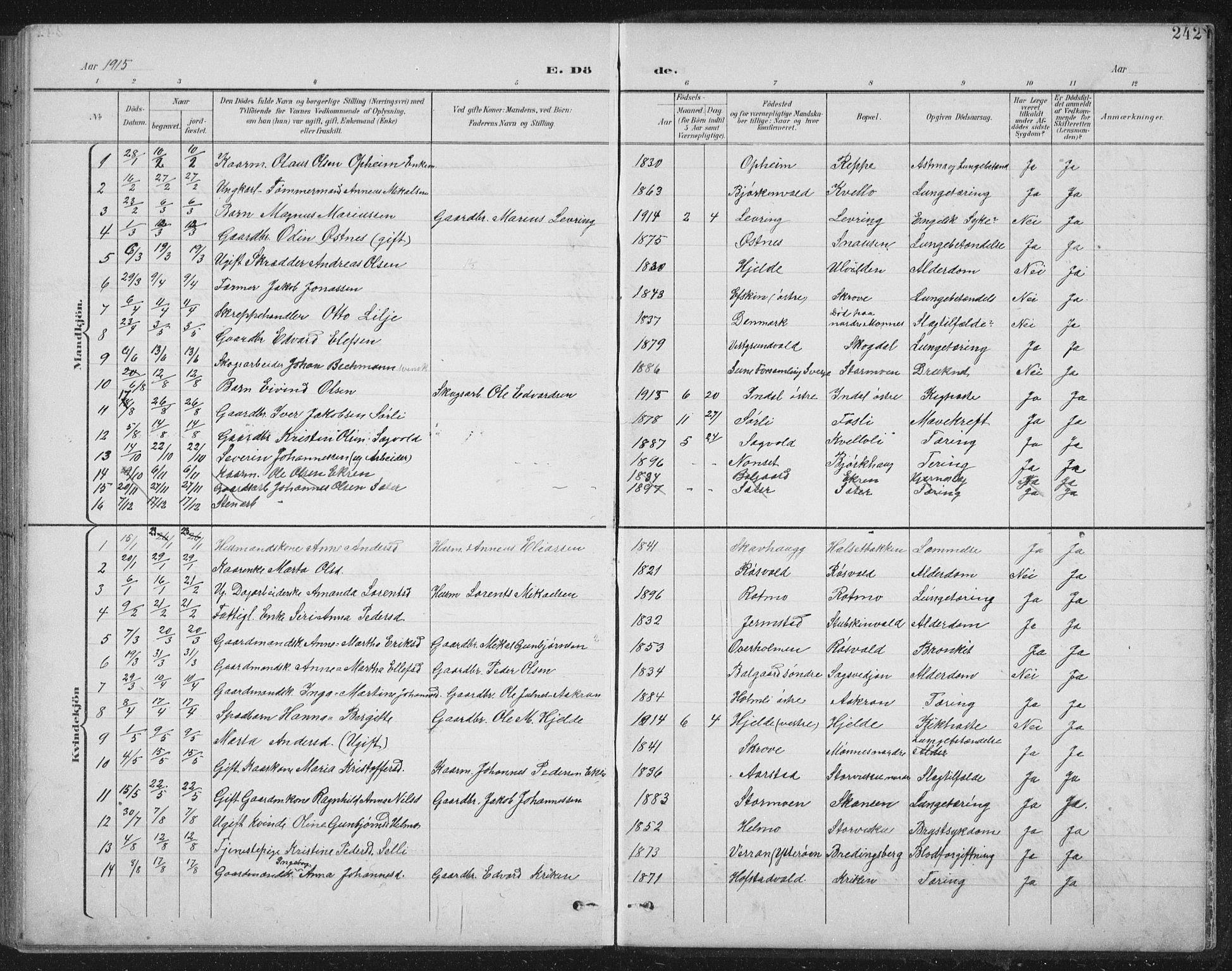 Ministerialprotokoller, klokkerbøker og fødselsregistre - Nord-Trøndelag, SAT/A-1458/724/L0269: Parish register (copy) no. 724C05, 1899-1920, p. 242