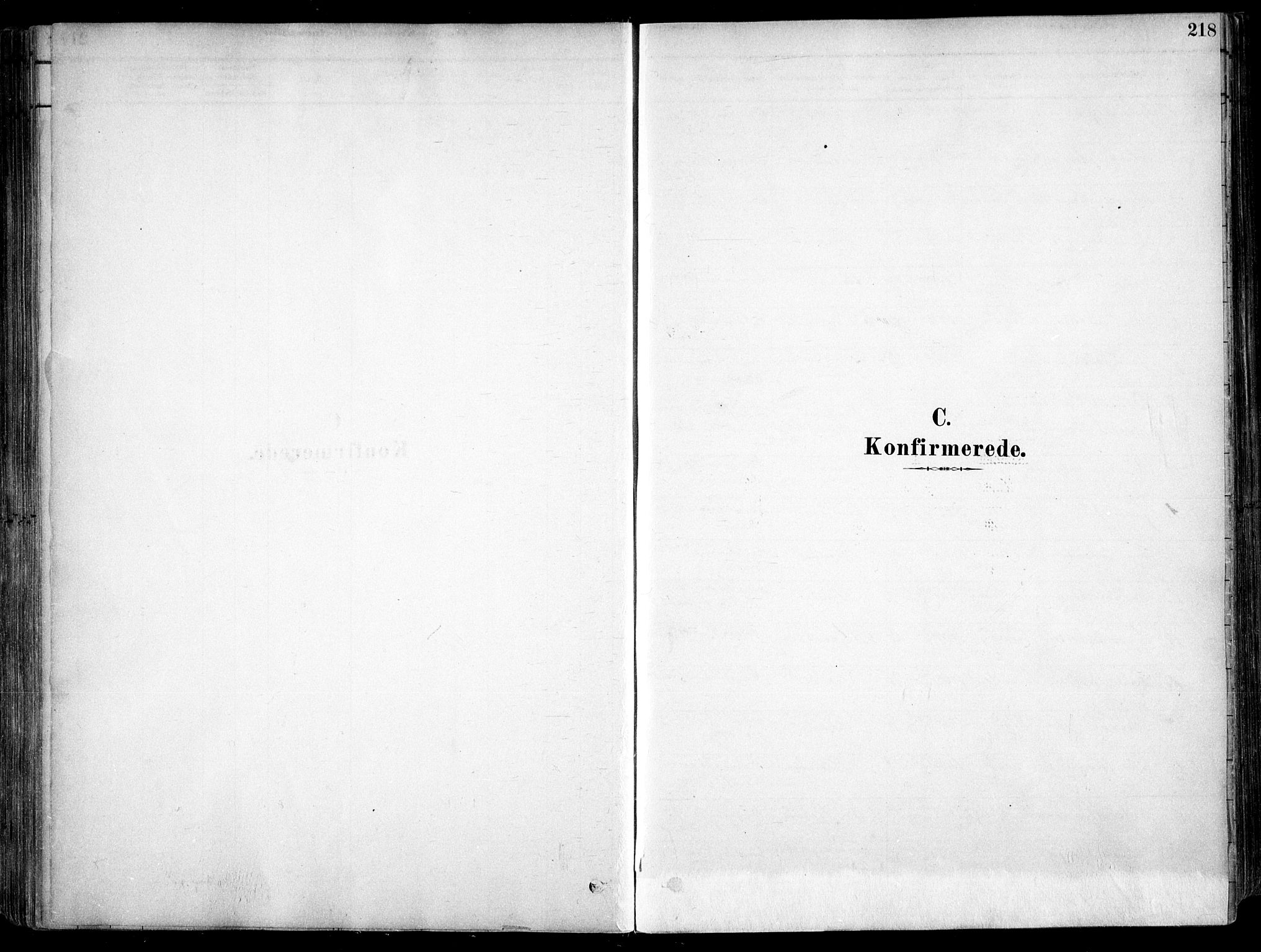 Arendal sokneprestkontor, Trefoldighet, SAK/1111-0040/F/Fa/L0008: Parish register (official) no. A 8, 1878-1899, p. 218