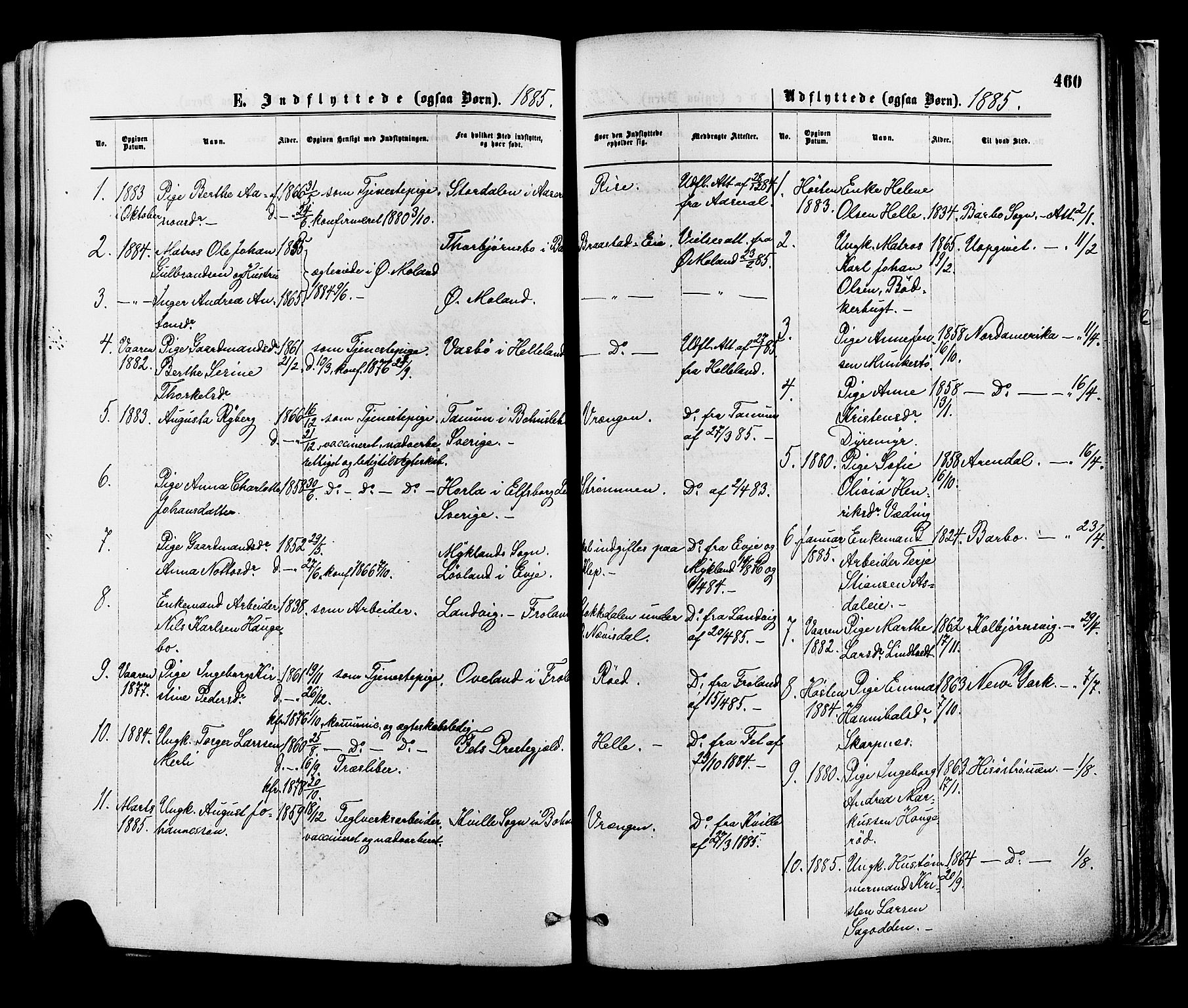 Øyestad sokneprestkontor, SAK/1111-0049/F/Fa/L0016: Parish register (official) no. A 16, 1874-1886, p. 460