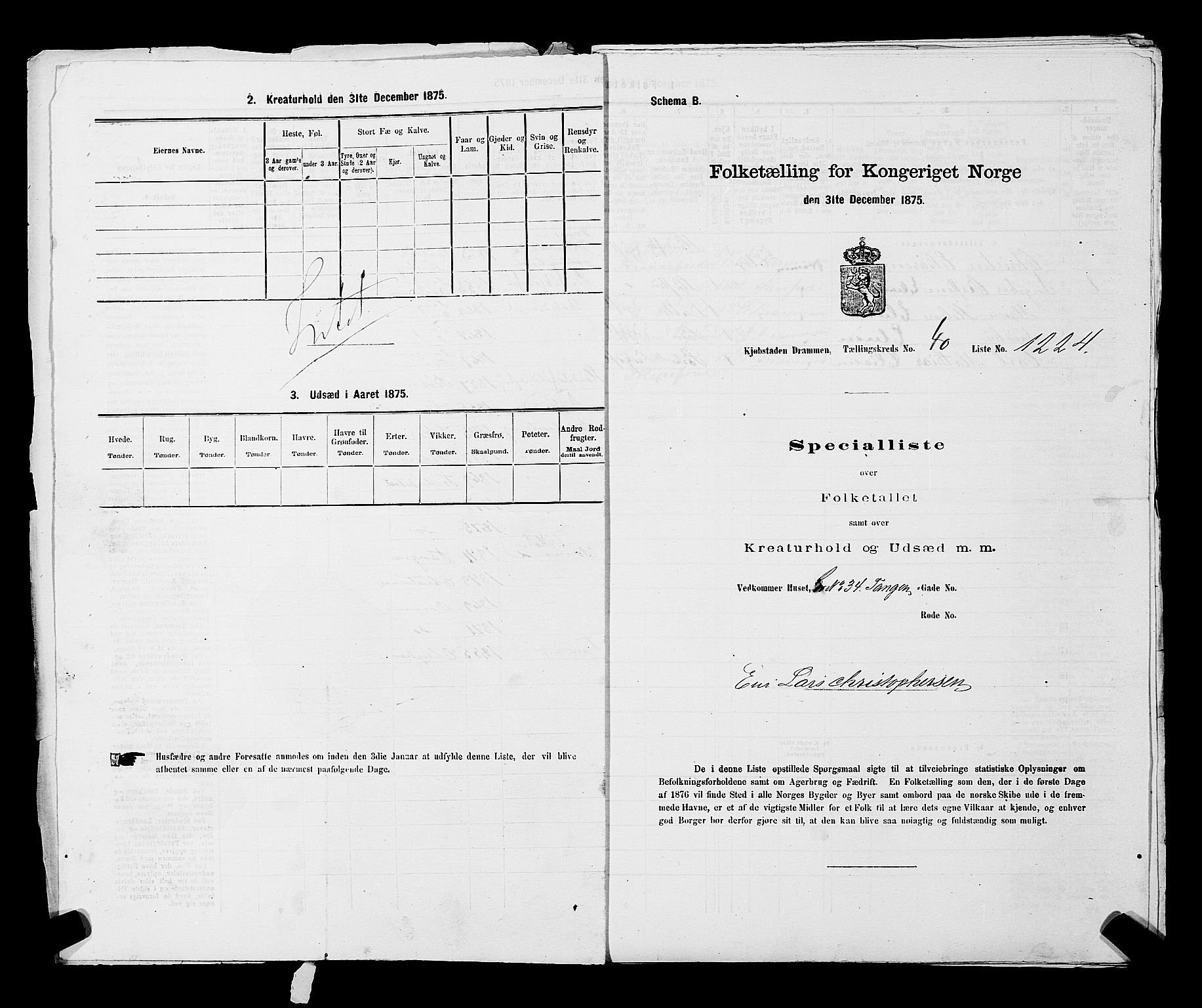 SAKO, 1875 census for 0602 Drammen, 1875, p. 3377