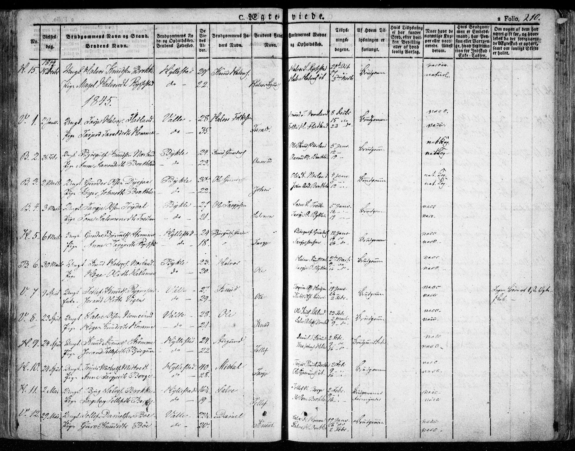 Valle sokneprestkontor, SAK/1111-0044/F/Fa/Fac/L0006: Parish register (official) no. A 6, 1831-1853, p. 210