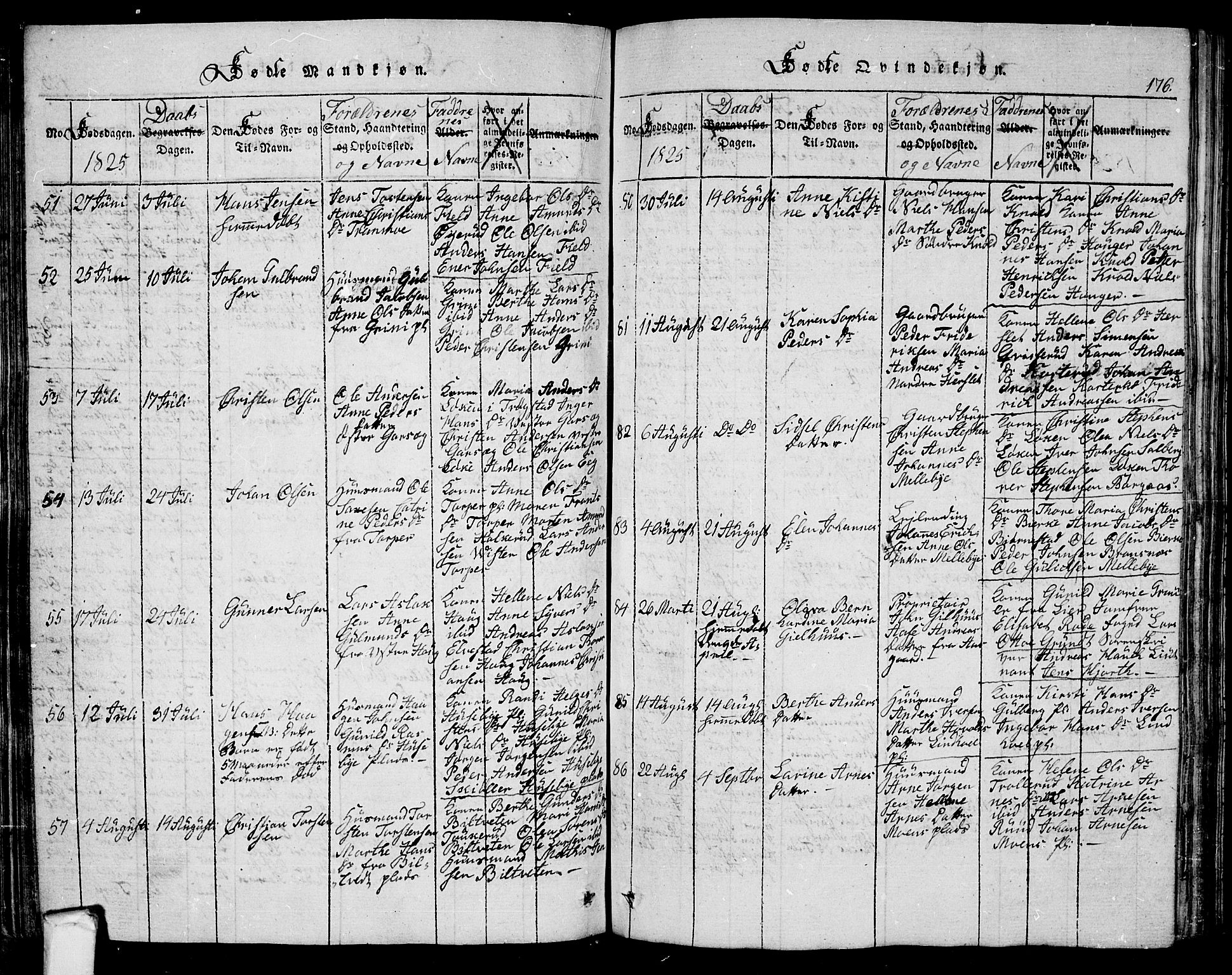 Eidsberg prestekontor Kirkebøker, SAO/A-10905/G/Ga/L0001: Parish register (copy) no. I 1, 1814-1831, p. 176