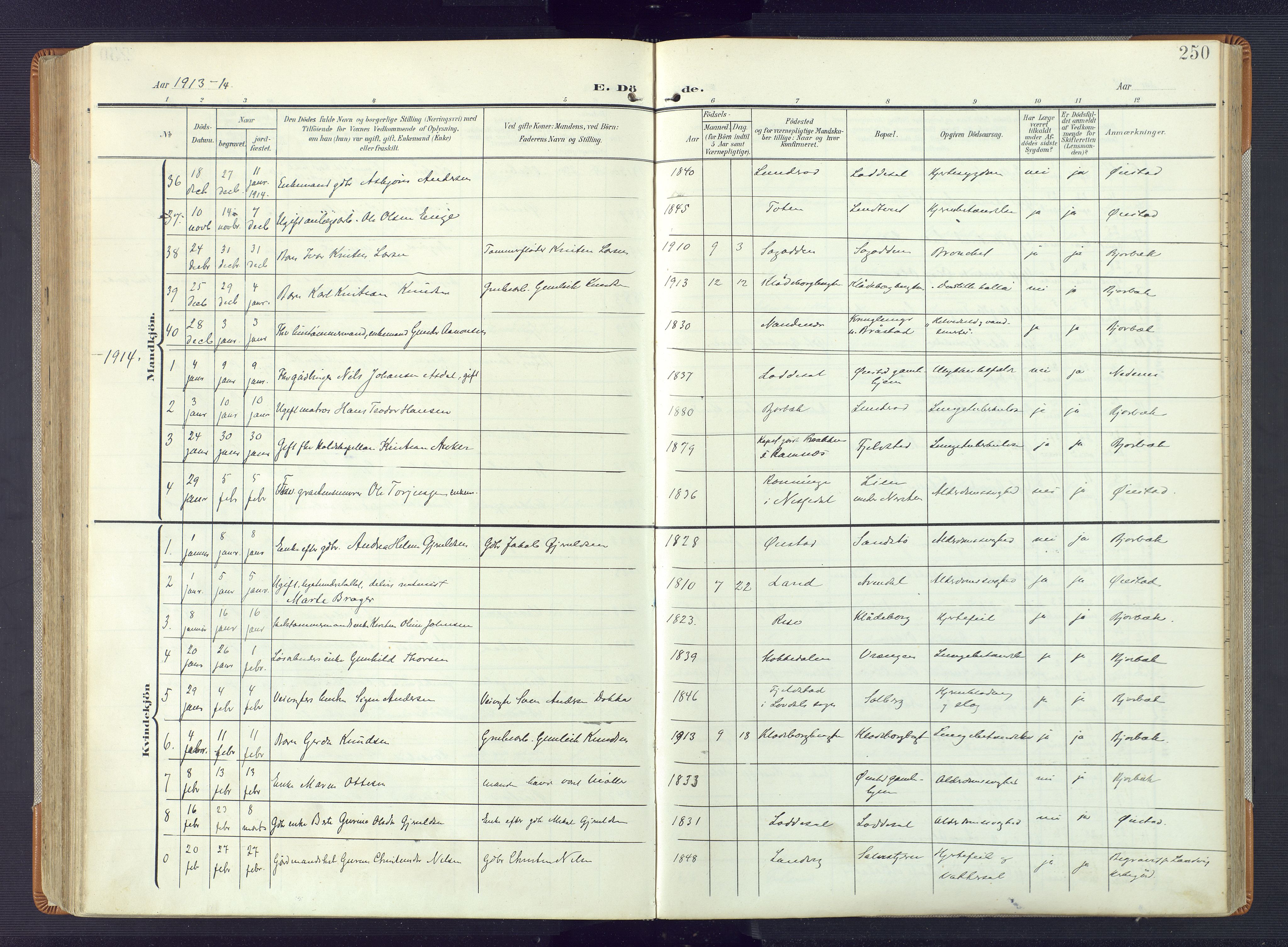 Øyestad sokneprestkontor, AV/SAK-1111-0049/F/Fa/L0019: Parish register (official) no. A 19, 1908-1922, p. 250