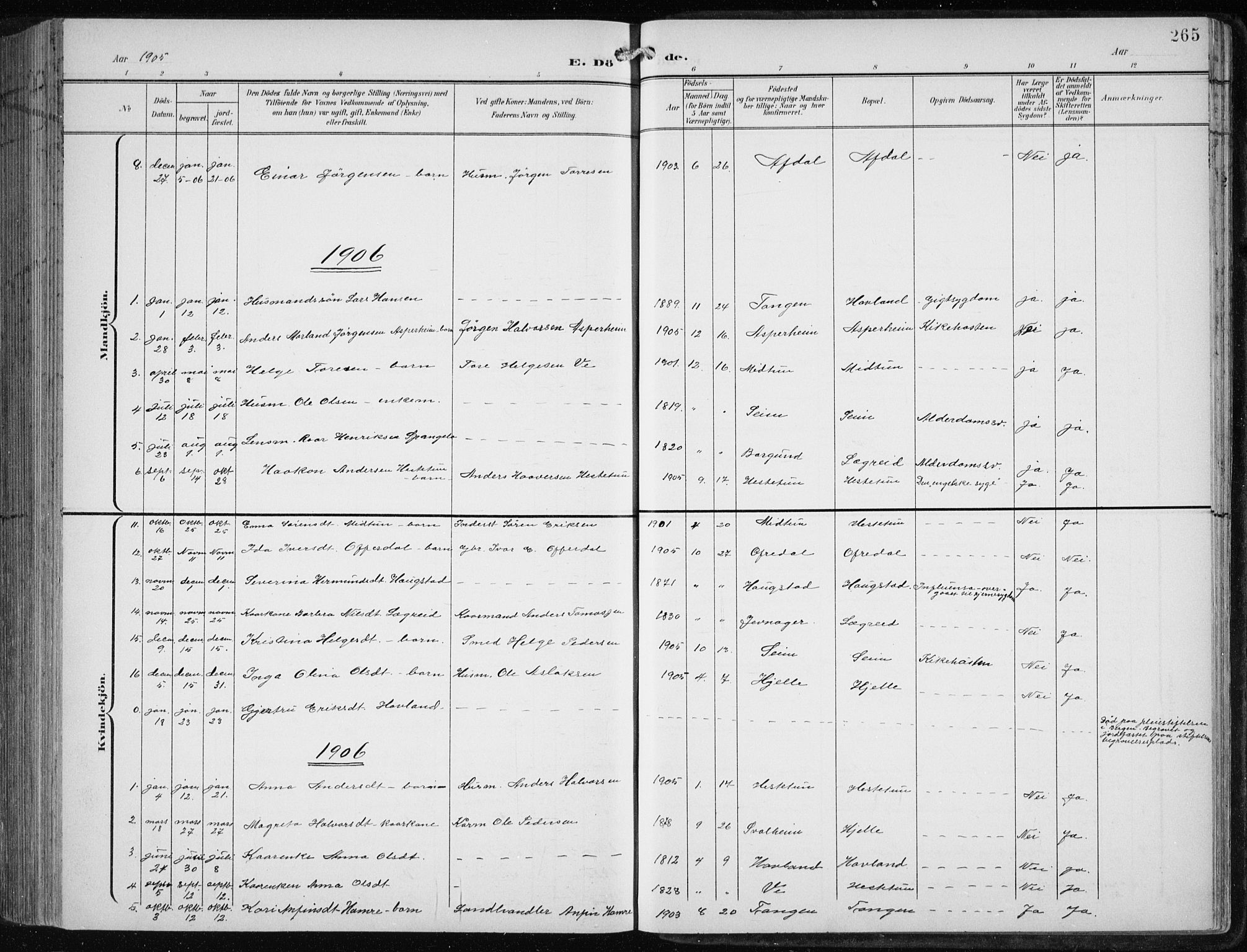 Årdal sokneprestembete, SAB/A-81701: Parish register (copy) no. A 2, 1899-1939, p. 265
