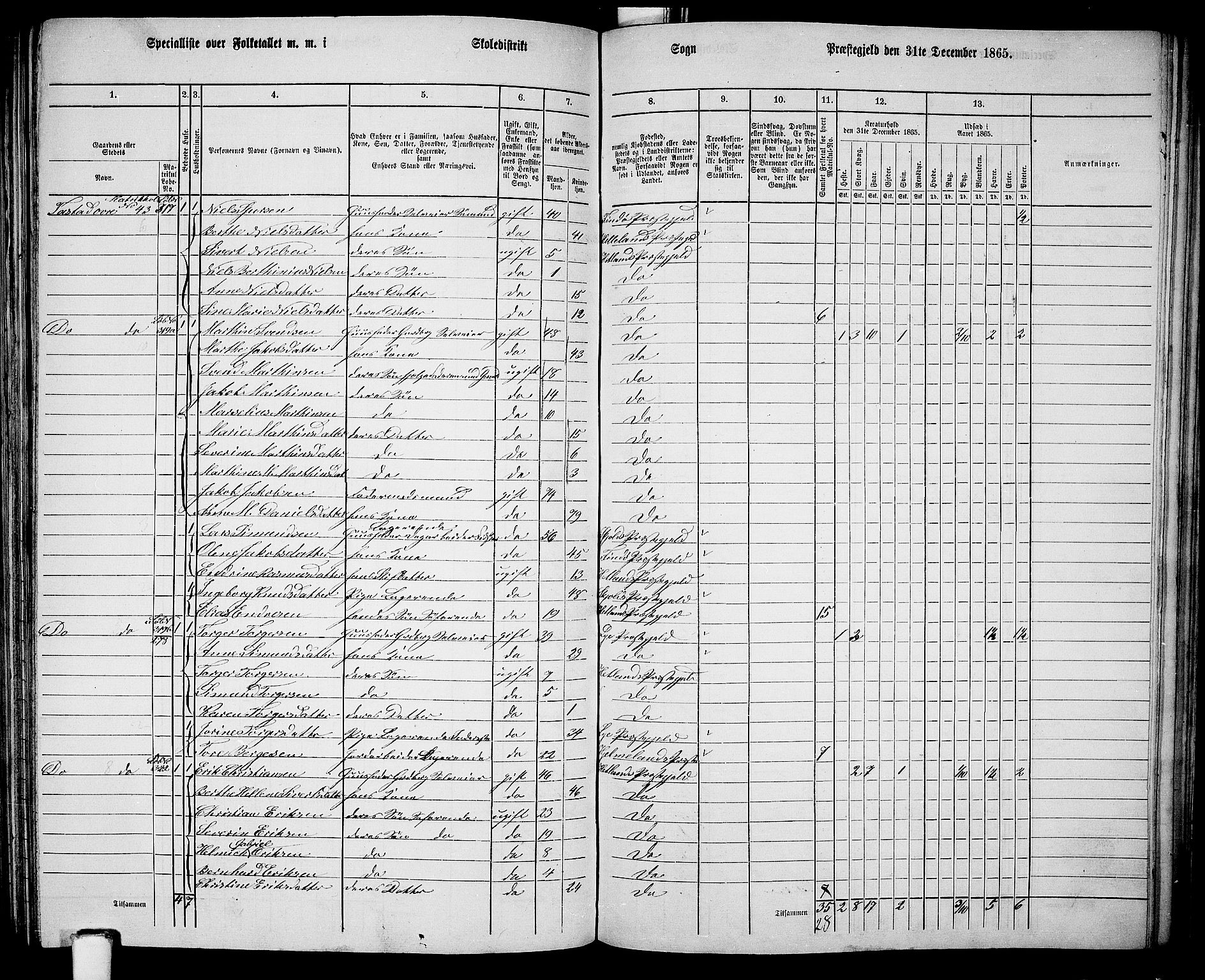 RA, 1865 census for Hetland, 1865, p. 162