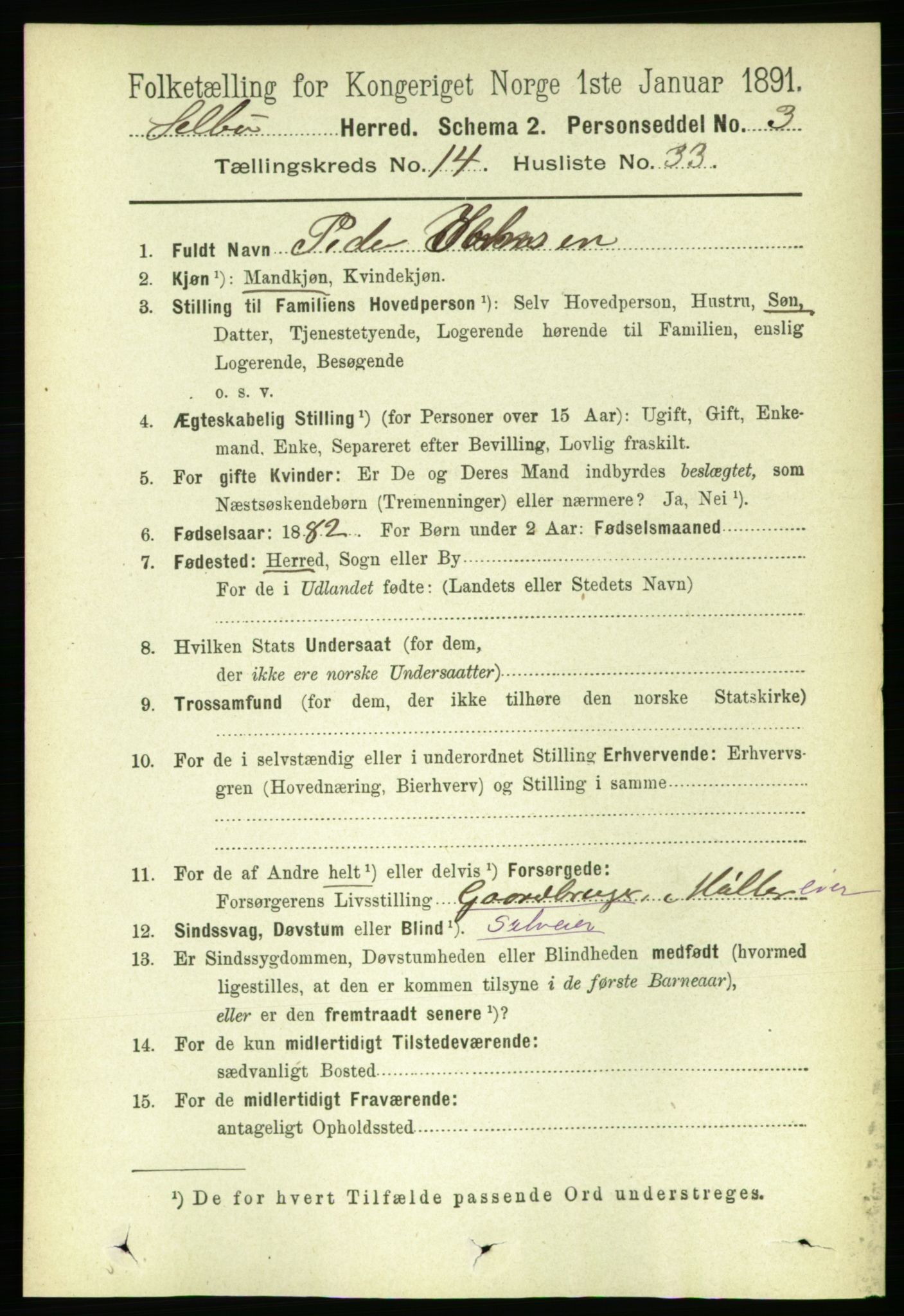 RA, 1891 census for 1664 Selbu, 1891, p. 5294