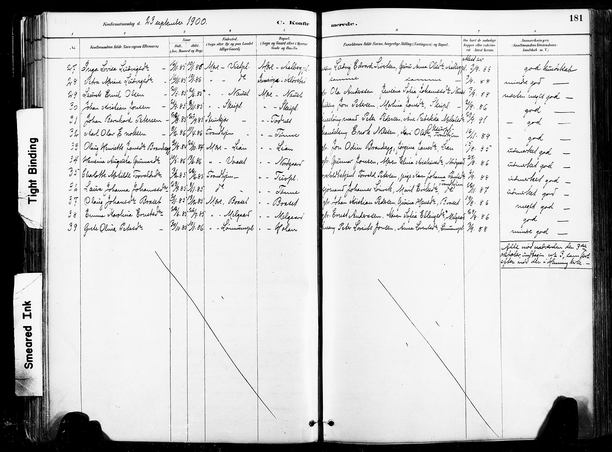 Ministerialprotokoller, klokkerbøker og fødselsregistre - Nord-Trøndelag, SAT/A-1458/735/L0351: Parish register (official) no. 735A10, 1884-1908, p. 181