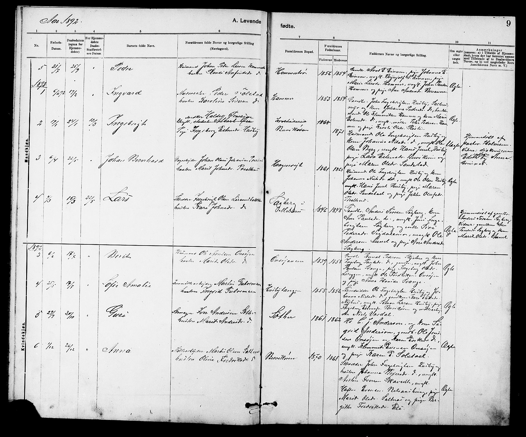 Ministerialprotokoller, klokkerbøker og fødselsregistre - Sør-Trøndelag, SAT/A-1456/666/L0790: Parish register (copy) no. 666C03, 1885-1908, p. 9