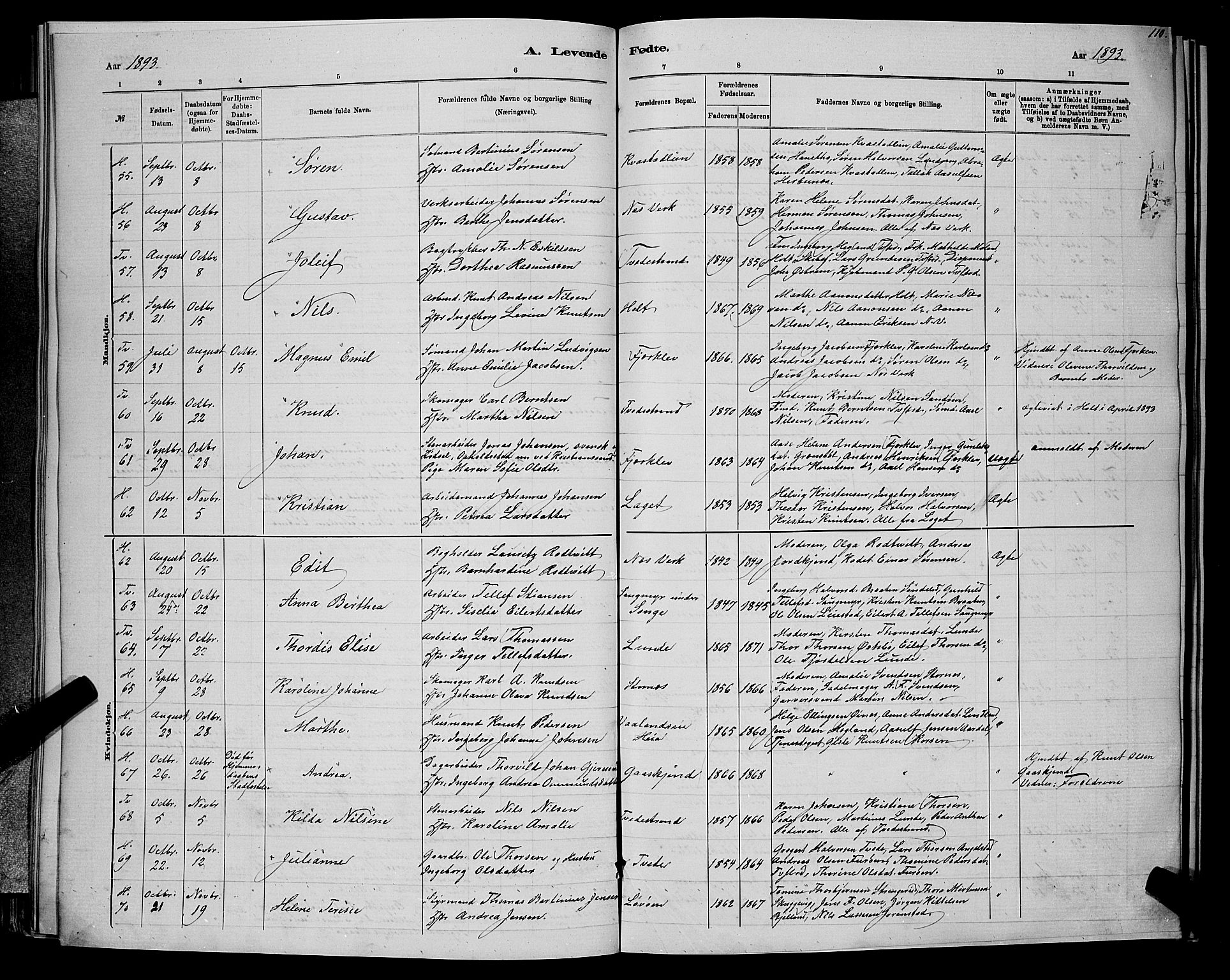 Holt sokneprestkontor, AV/SAK-1111-0021/F/Fb/L0010: Parish register (copy) no. B 10, 1883-1896, p. 110