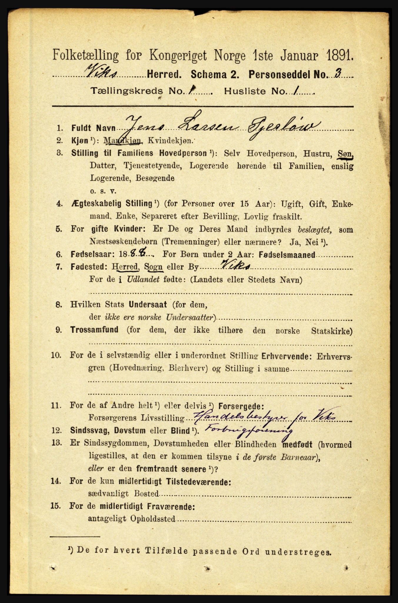 RA, 1891 census for 1417 Vik, 1891, p. 135