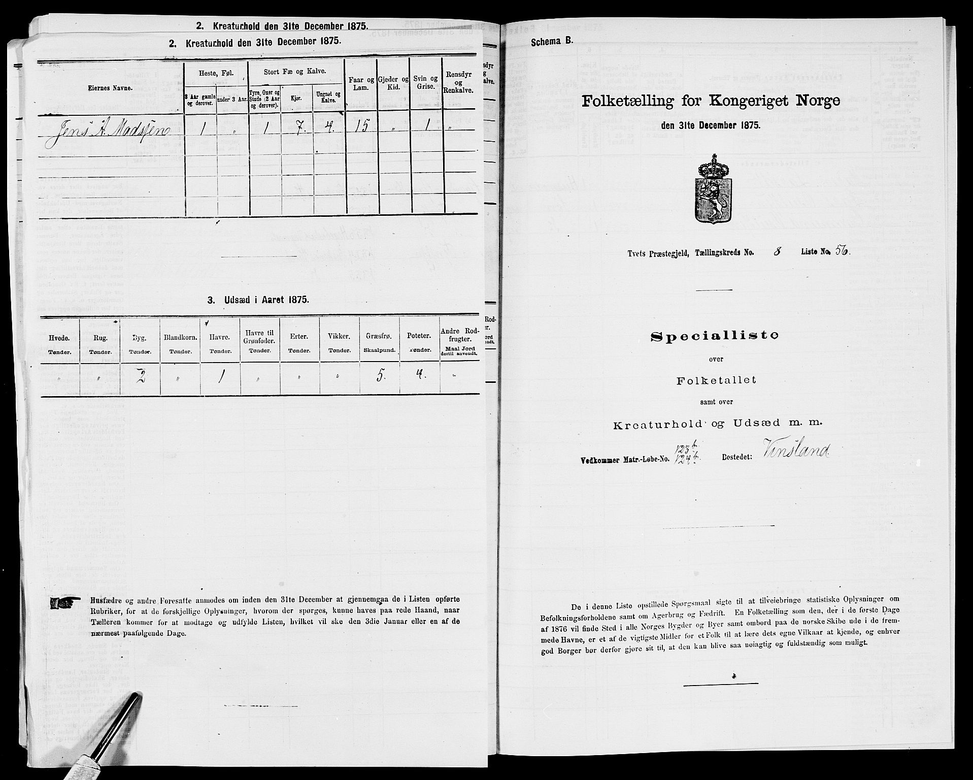 SAK, 1875 census for 1013P Tveit, 1875, p. 1100