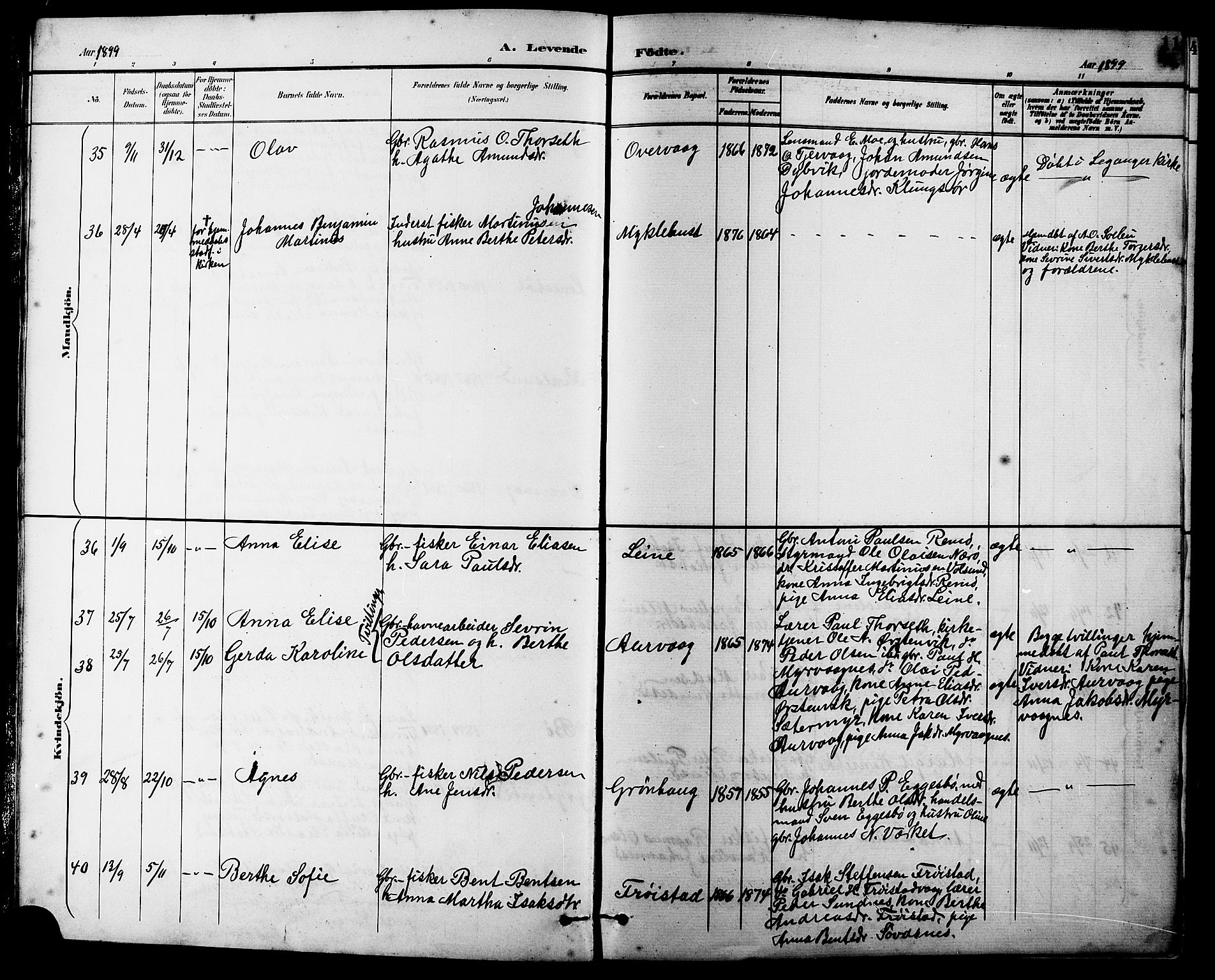 Ministerialprotokoller, klokkerbøker og fødselsregistre - Møre og Romsdal, AV/SAT-A-1454/507/L0082: Parish register (copy) no. 507C05, 1896-1914, p. 11