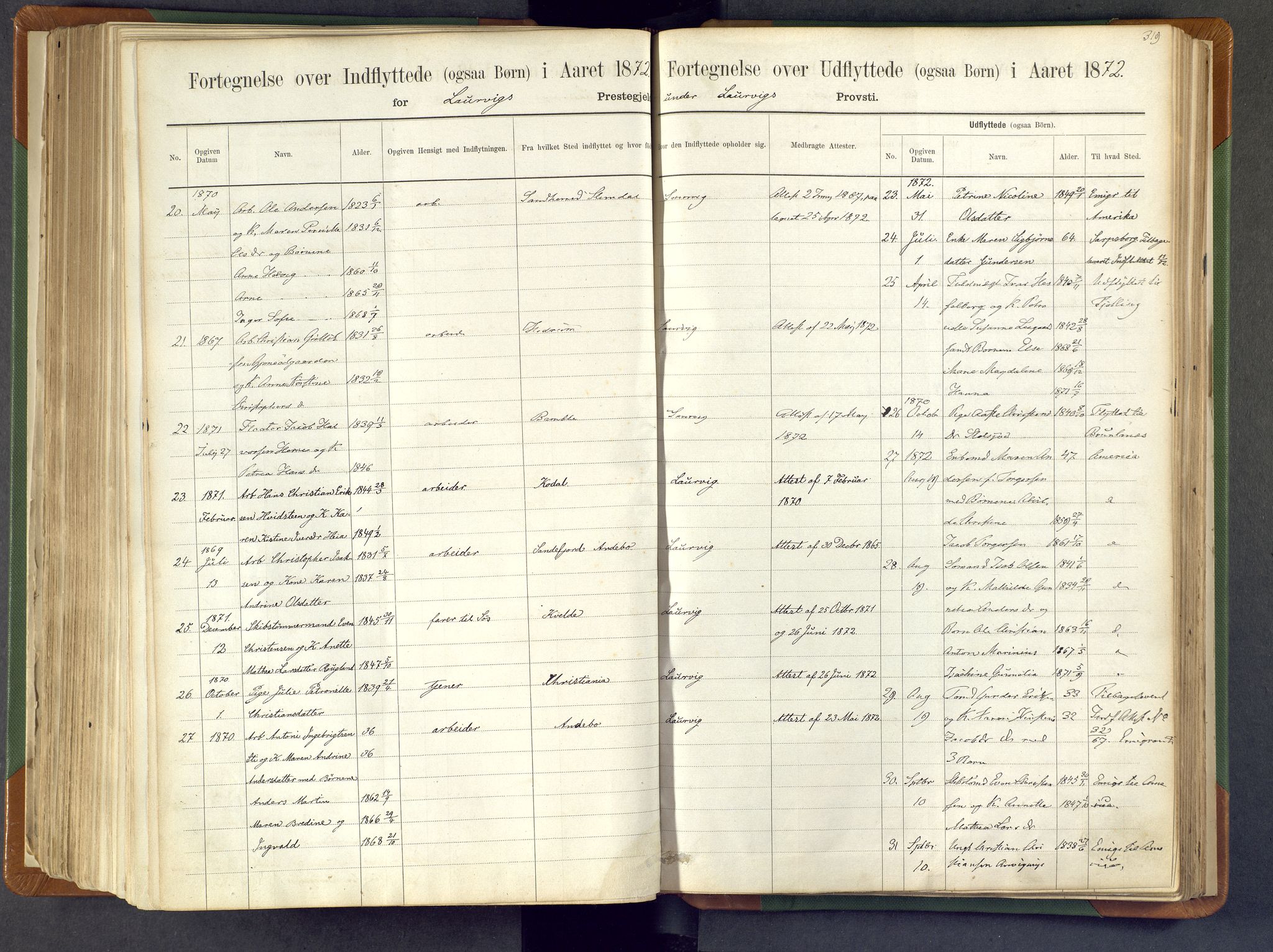Larvik kirkebøker, SAKO/A-352/F/Fa/L0007: Parish register (official) no. I 7, 1871-1883, p. 319