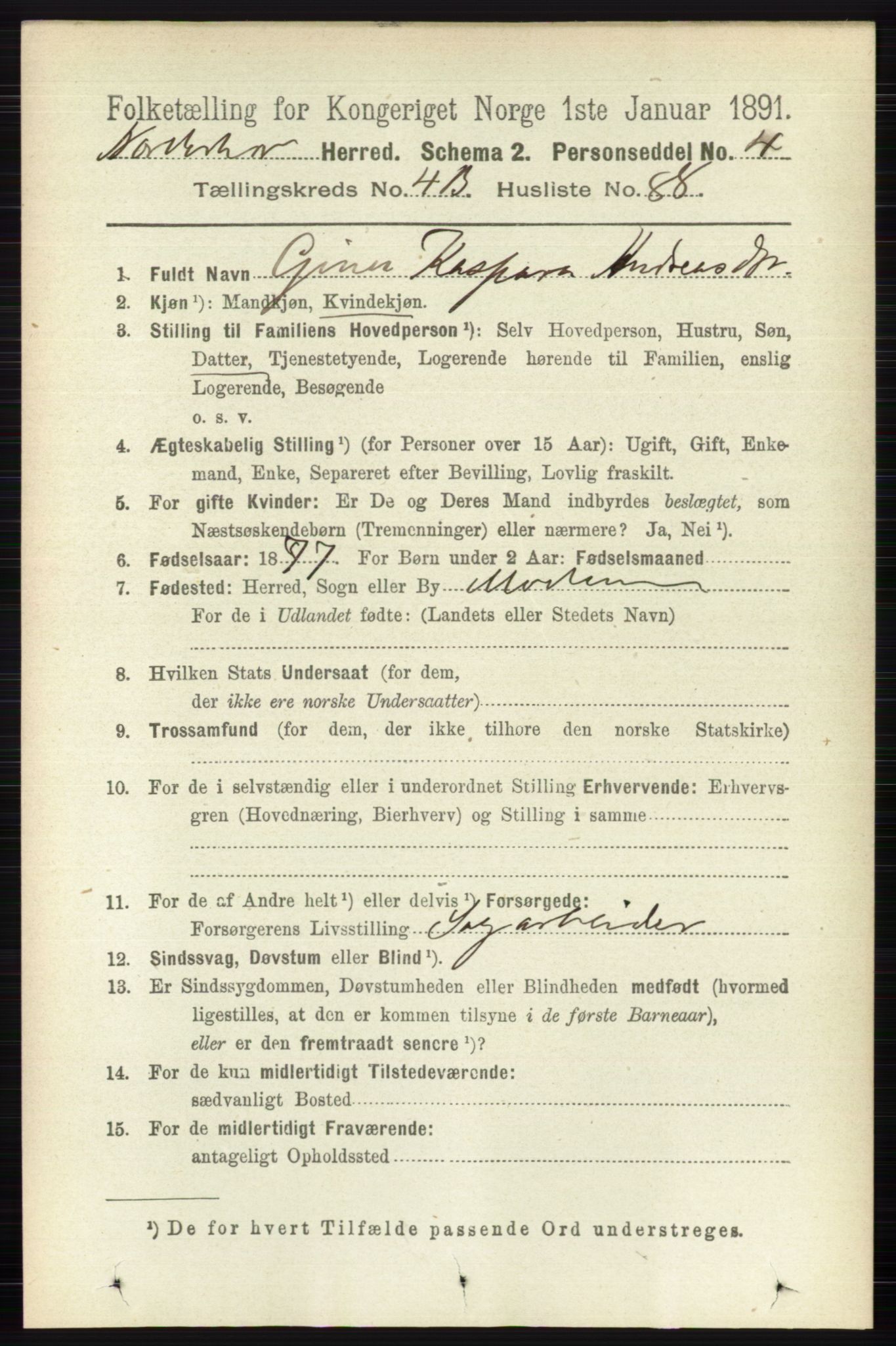 RA, 1891 census for 0613 Norderhov, 1891, p. 2647