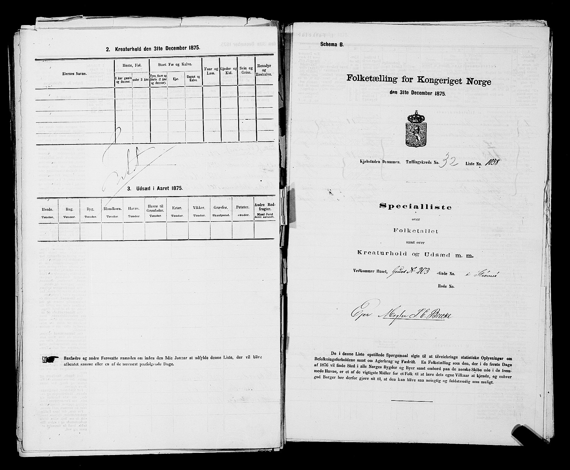 SAKO, 1875 census for 0602 Drammen, 1875, p. 2909