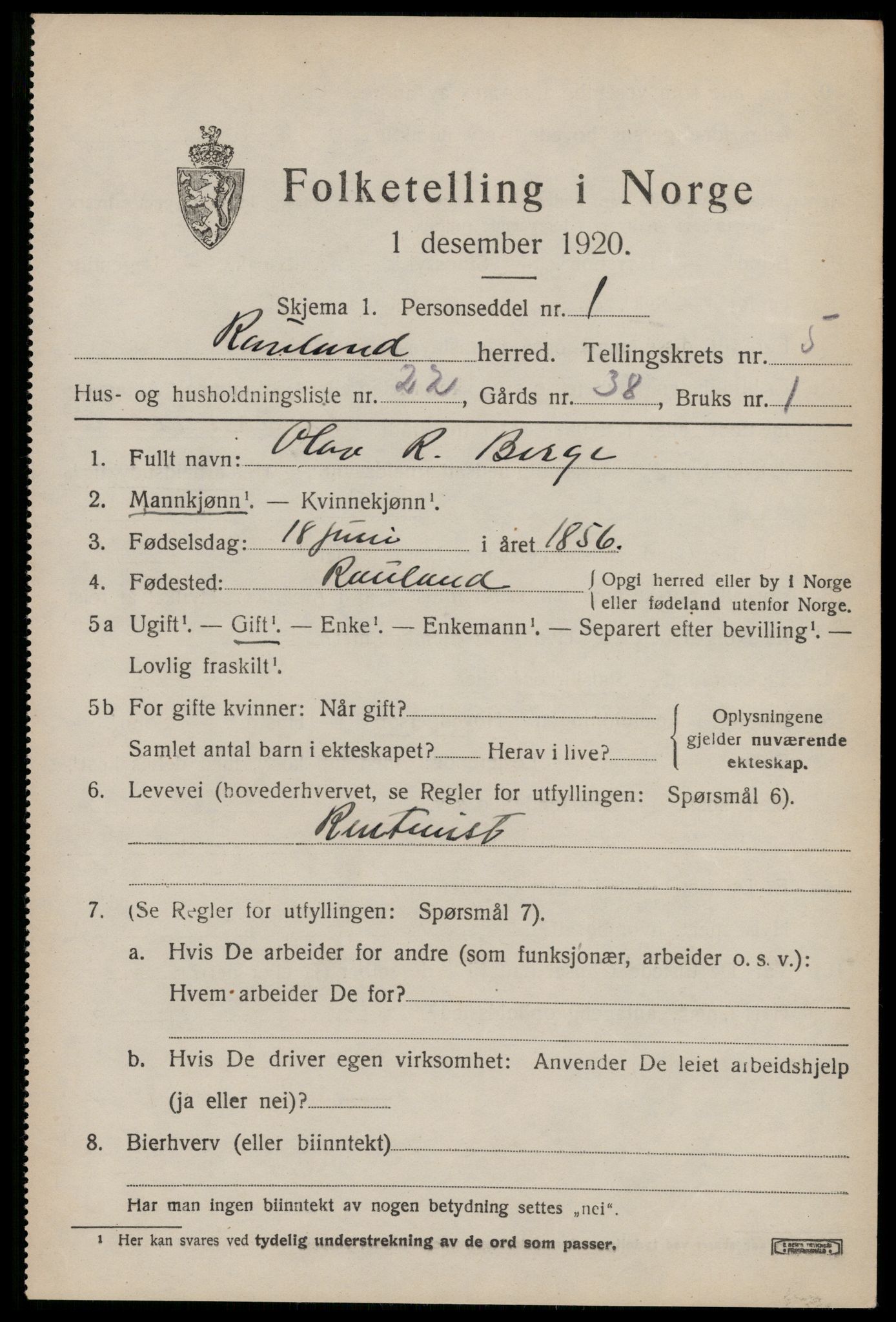 SAKO, 1920 census for Rauland, 1920, p. 1250