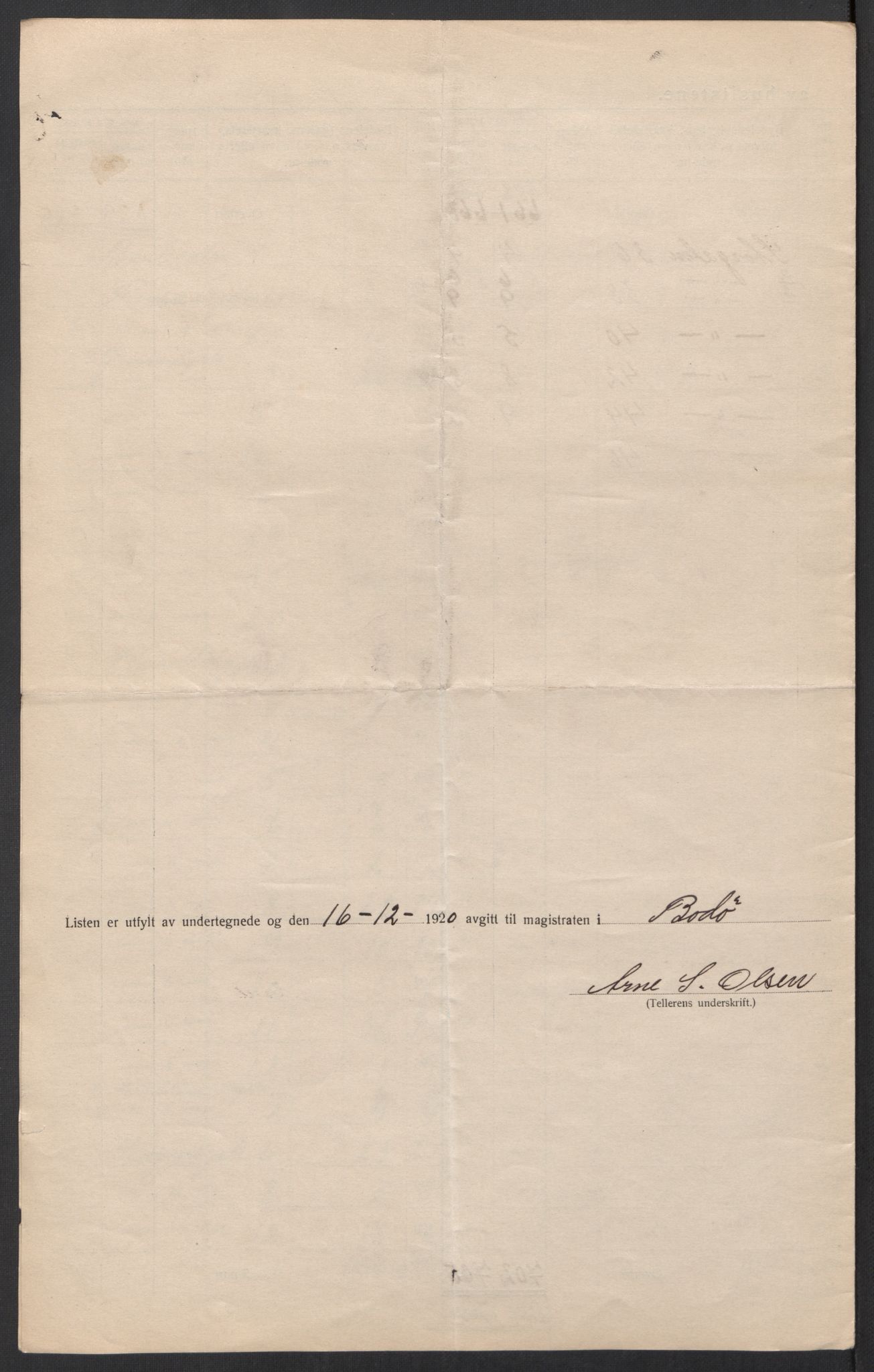 SAT, 1920 census for Bodø, 1920, p. 19