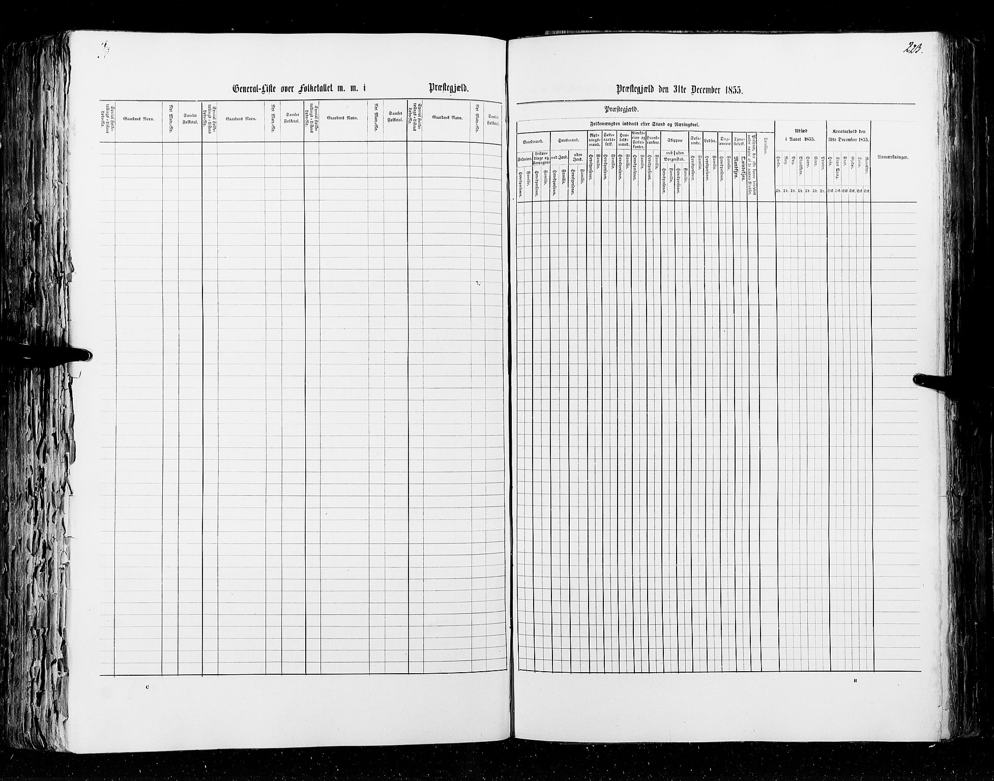 RA, Census 1855, vol. 2: Kristians amt, Buskerud amt og Jarlsberg og Larvik amt, 1855, p. 223