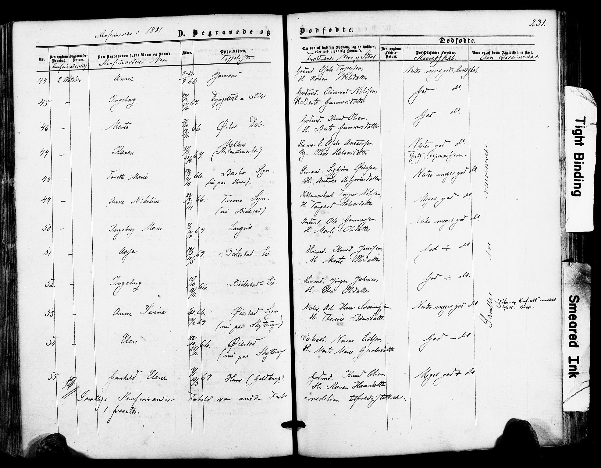 Froland sokneprestkontor, AV/SAK-1111-0013/F/Fa/L0003: Parish register (official) no. A 3, 1864-1881, p. 231