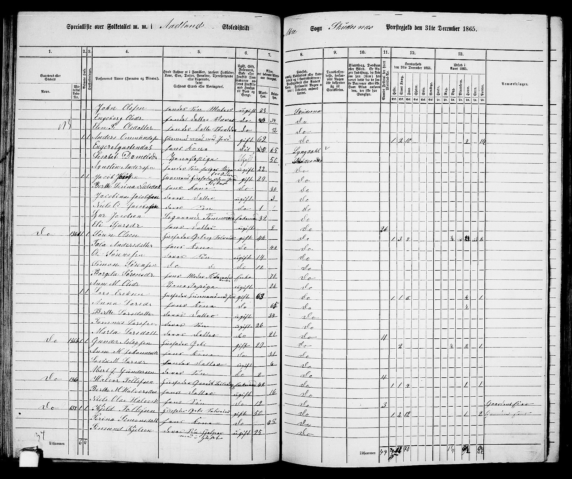 RA, 1865 census for Skudenes, 1865, p. 76