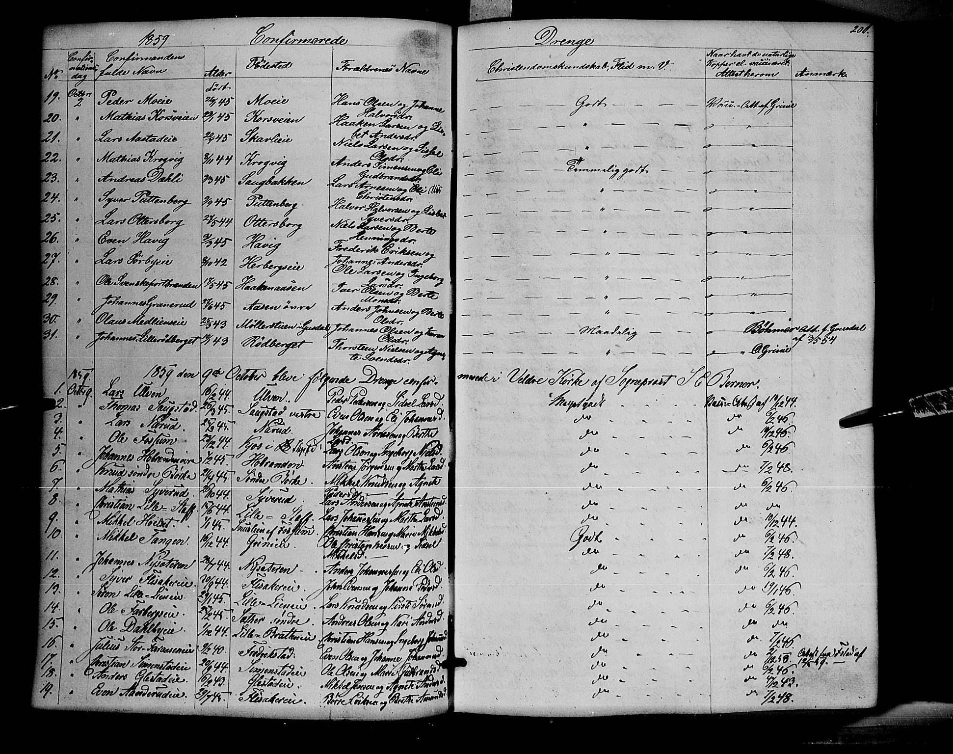 Ringsaker prestekontor, AV/SAH-PREST-014/K/Ka/L0009: Parish register (official) no. 9, 1850-1860, p. 201