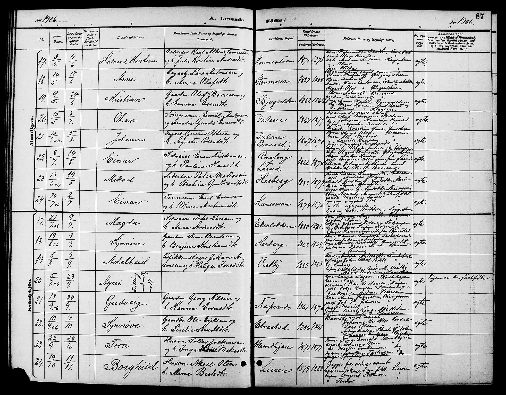 Biri prestekontor, AV/SAH-PREST-096/H/Ha/Hab/L0004: Parish register (copy) no. 4, 1892-1909, p. 87