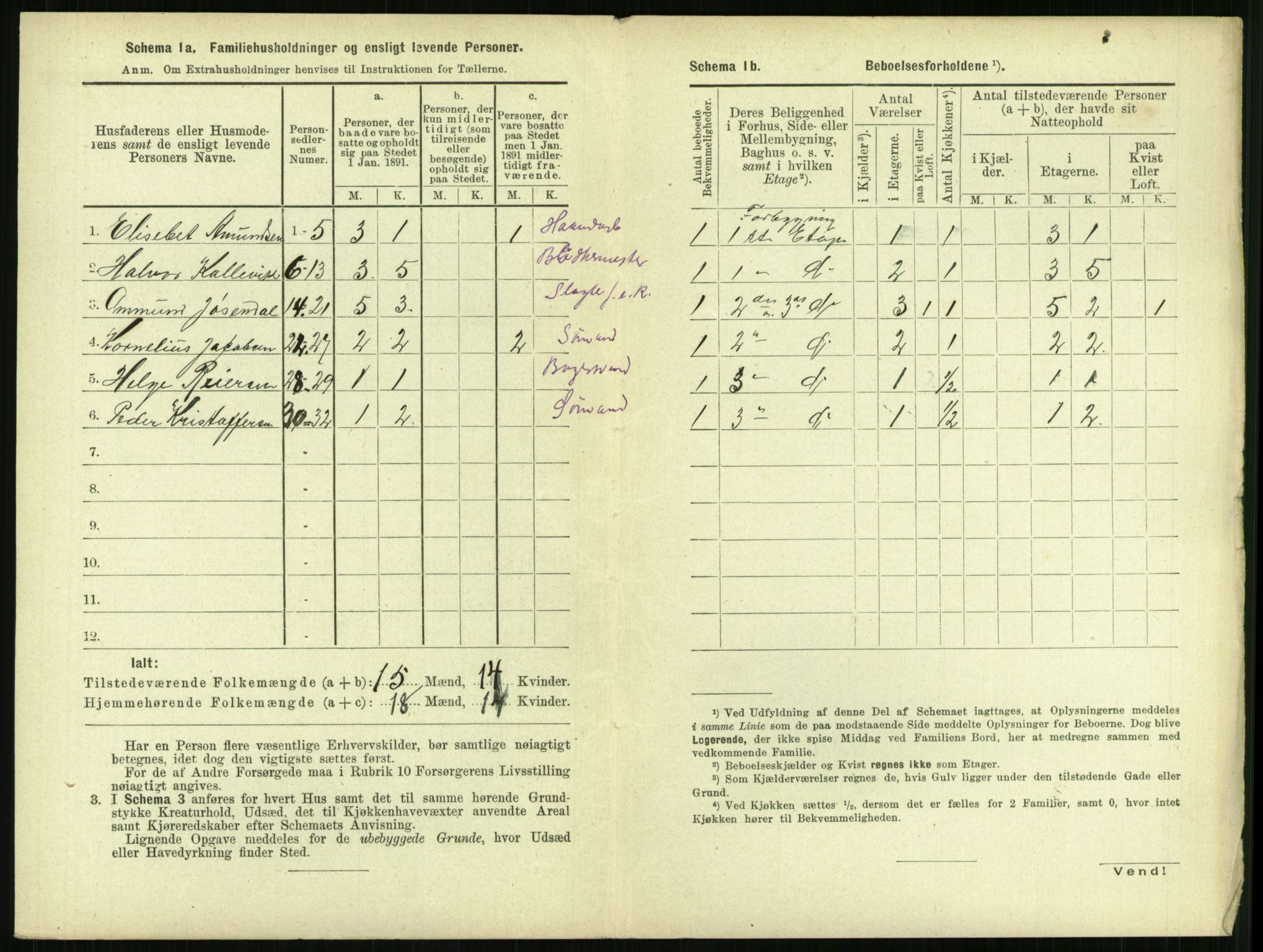 RA, 1891 census for 1106 Haugesund, 1891, p. 1009