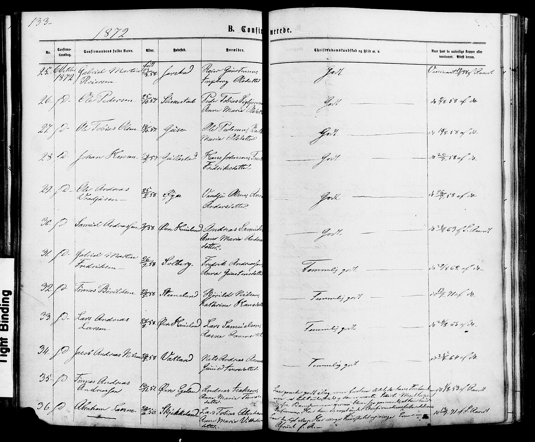 Kvinesdal sokneprestkontor, AV/SAK-1111-0026/F/Fa/Fab/L0007: Parish register (official) no. A 7, 1870-1885, p. 133