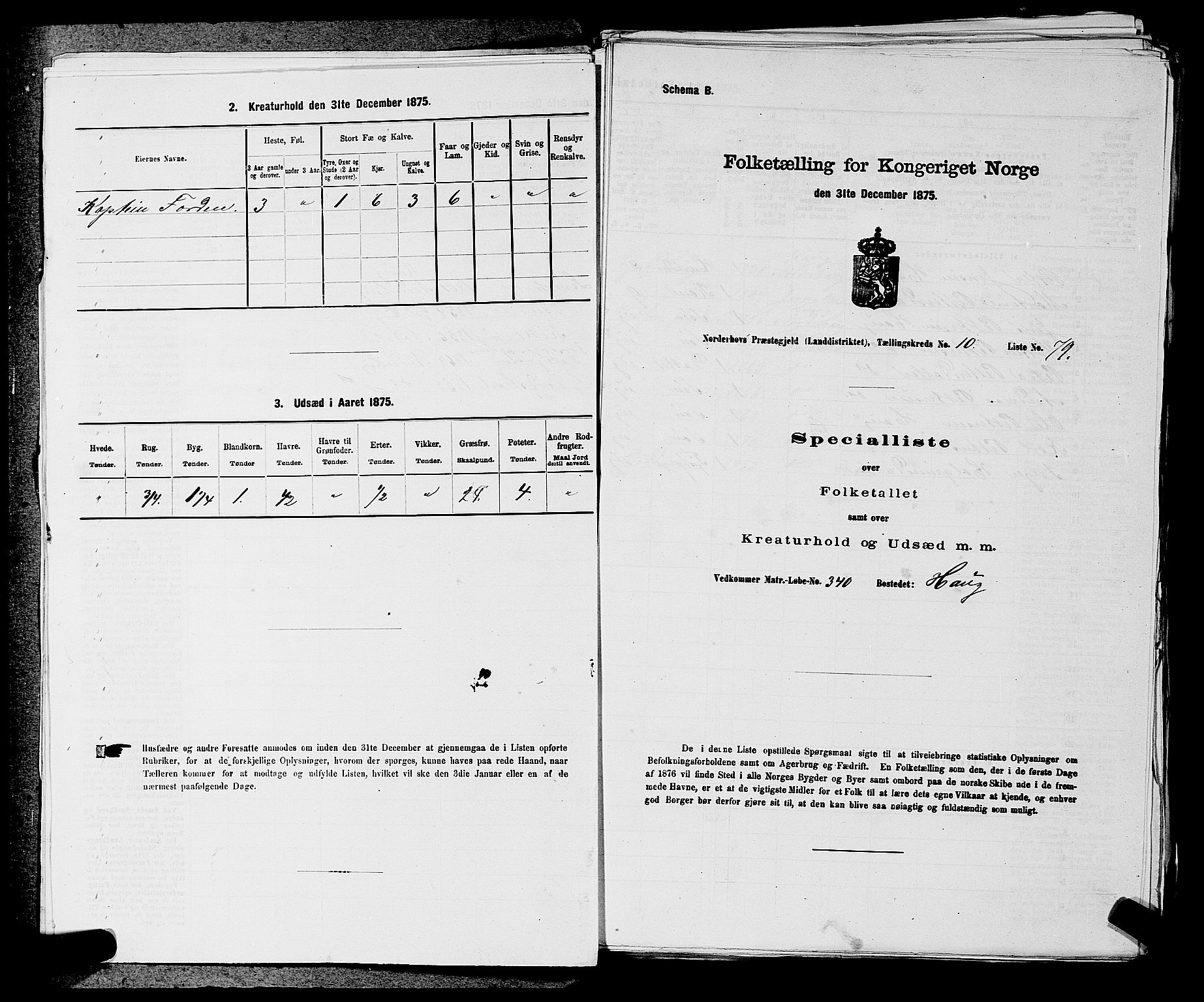 SAKO, 1875 census for 0613L Norderhov/Norderhov, Haug og Lunder, 1875, p. 1873