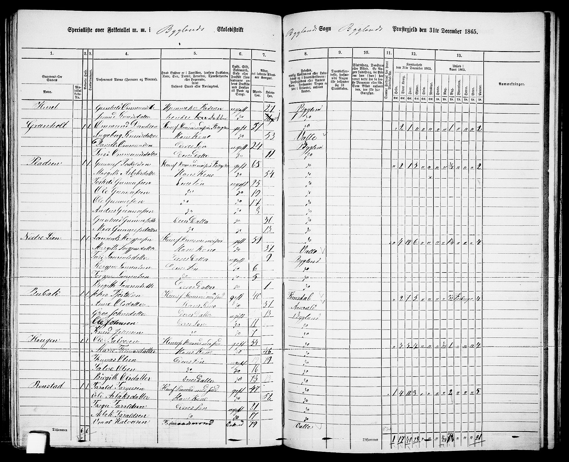 RA, 1865 census for Bygland, 1865, p. 62