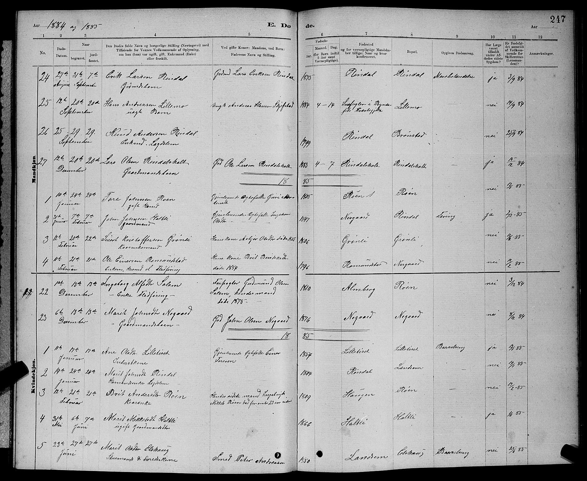 Ministerialprotokoller, klokkerbøker og fødselsregistre - Møre og Romsdal, AV/SAT-A-1454/598/L1077: Parish register (copy) no. 598C02, 1879-1891, p. 247