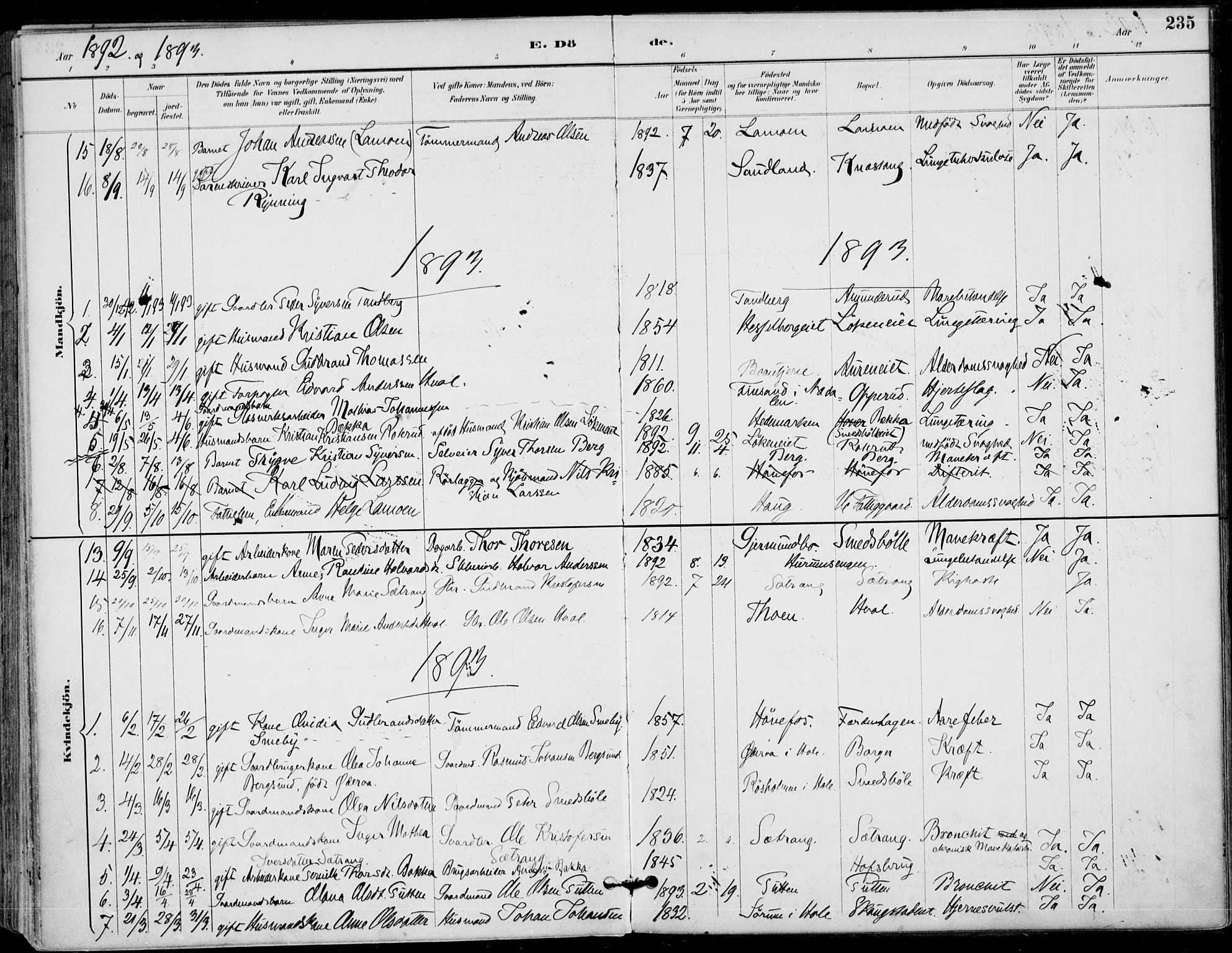 Haug kirkebøker, AV/SAKO-A-604/F/Fa/L0001: Parish register (official) no. 1, 1885-1917, p. 235