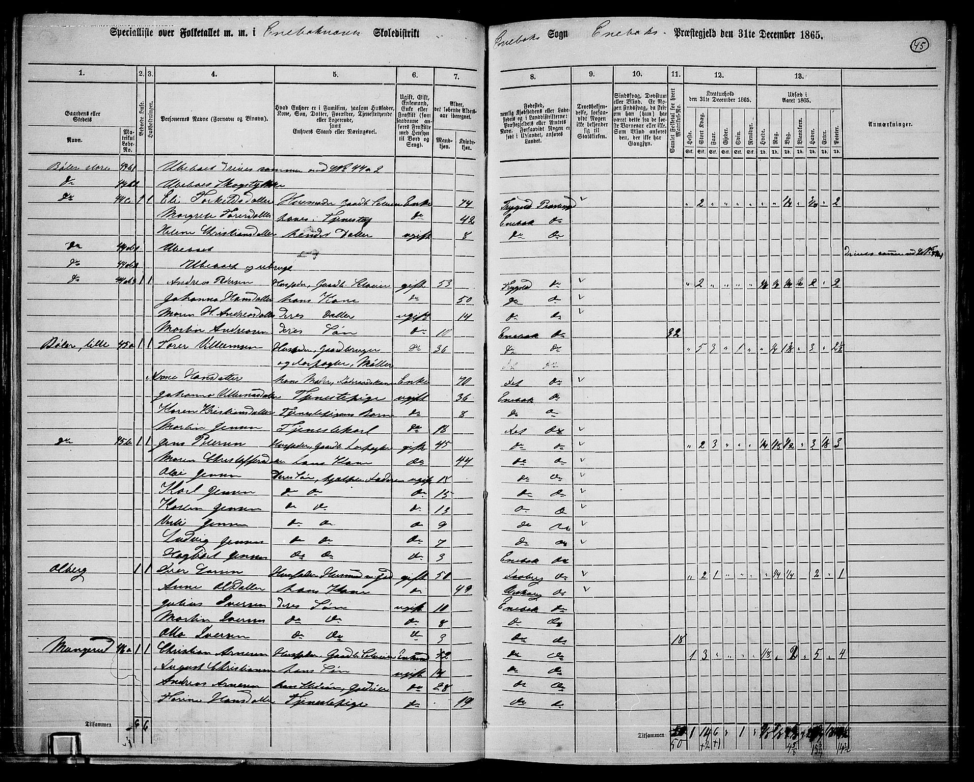 RA, 1865 census for Enebakk, 1865, p. 42