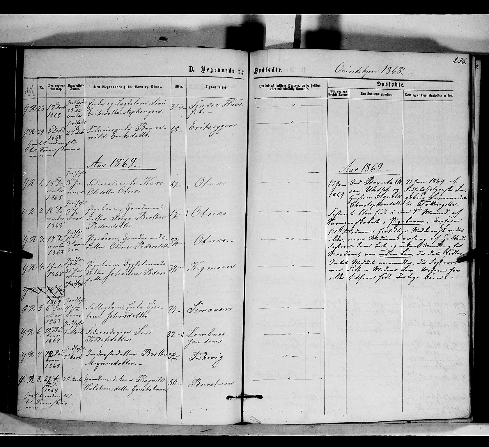 Rendalen prestekontor, SAH/PREST-054/H/Ha/Haa/L0006: Parish register (official) no. 6, 1867-1877, p. 236
