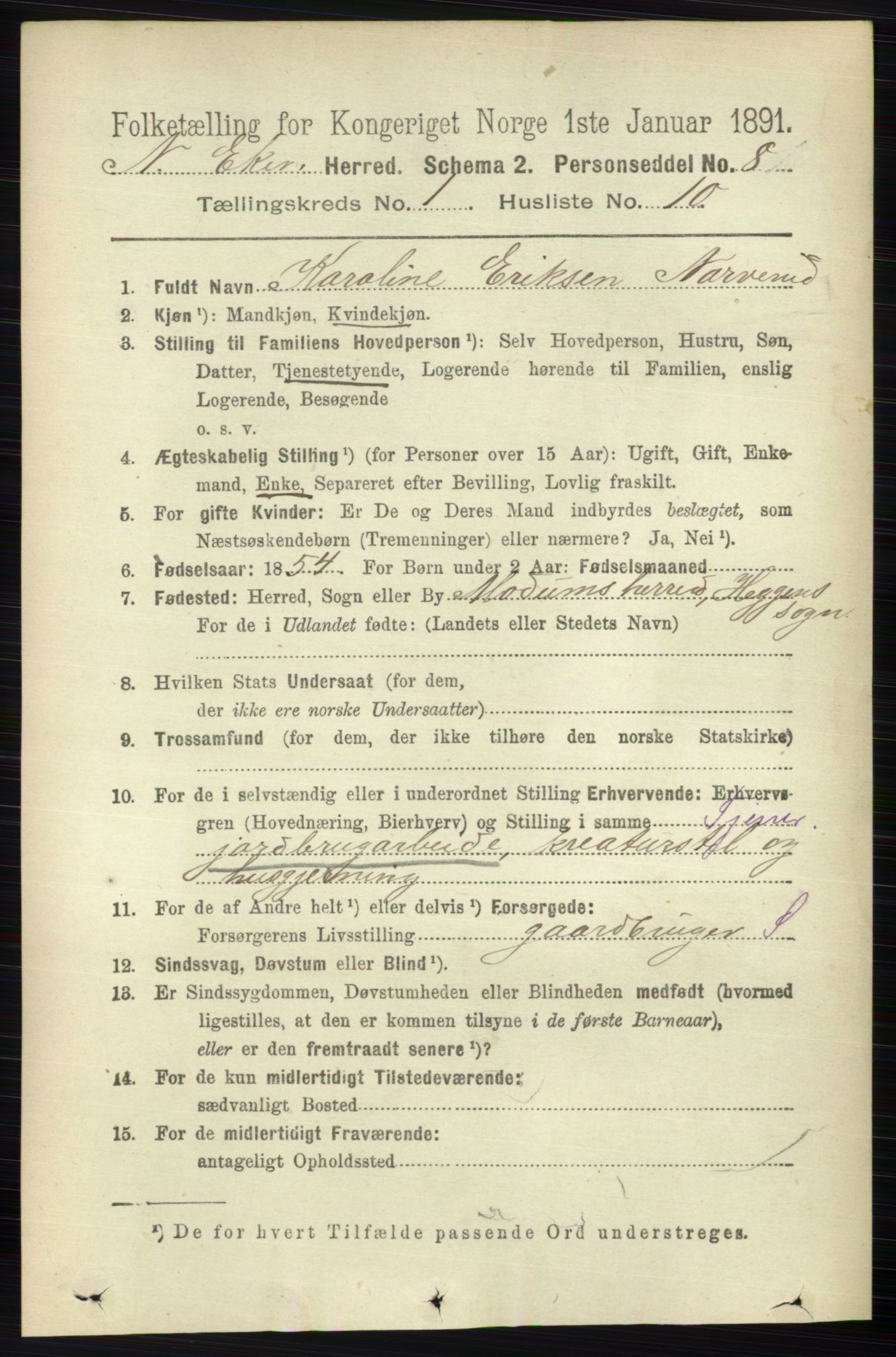 RA, 1891 census for 0625 Nedre Eiker, 1891, p. 131