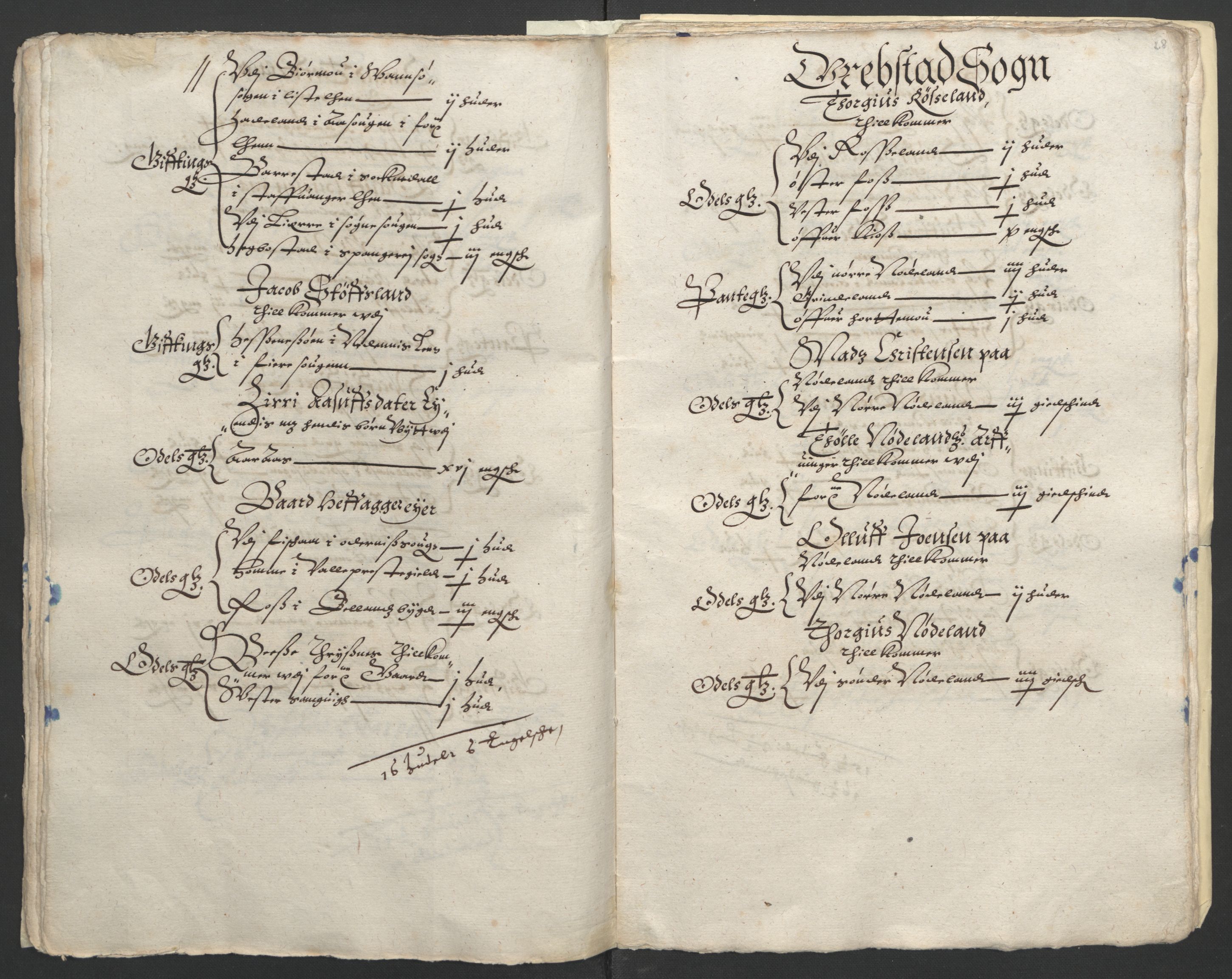 Stattholderembetet 1572-1771, RA/EA-2870/Ek/L0010/0001: Jordebøker til utlikning av rosstjeneste 1624-1626: / Odelsjordebøker for Agdesiden len, 1624, p. 124