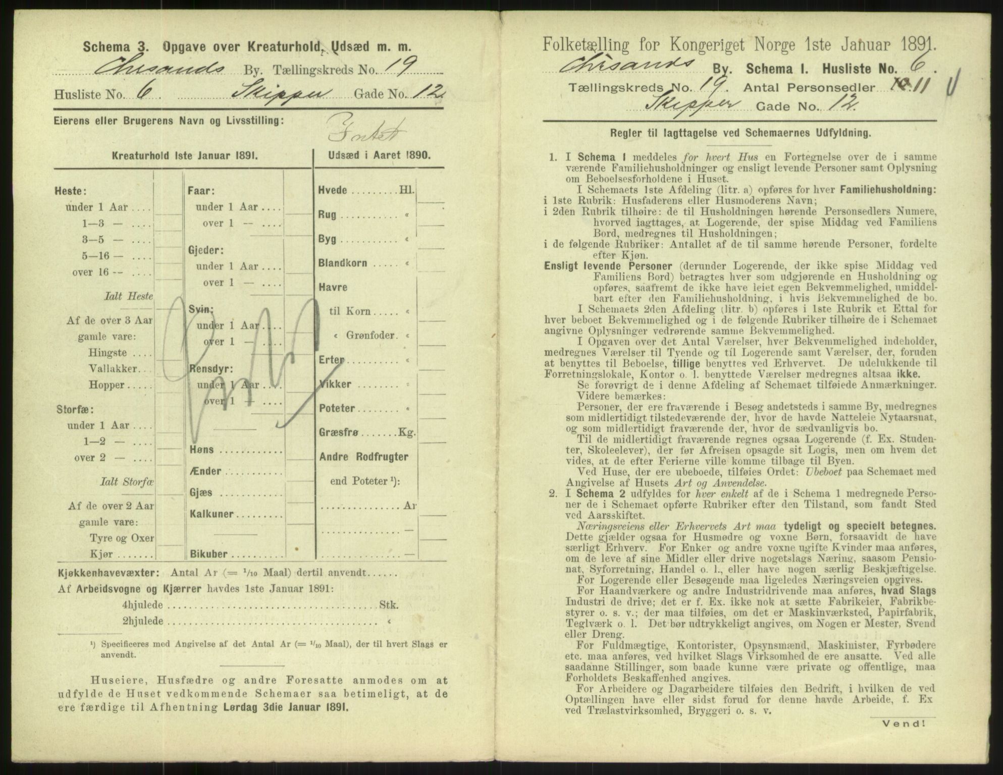 RA, 1891 census for 1001 Kristiansand, 1891, p. 1100