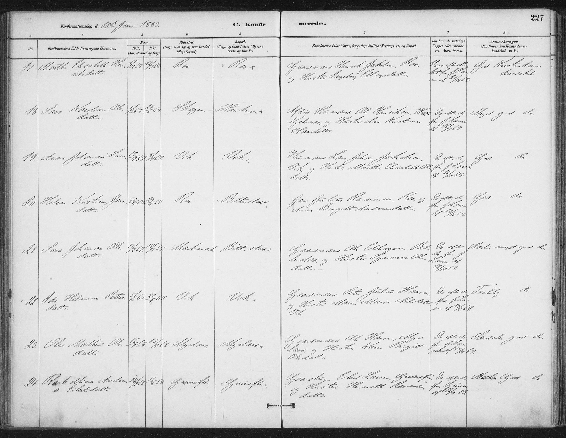 Ministerialprotokoller, klokkerbøker og fødselsregistre - Nordland, AV/SAT-A-1459/888/L1244: Parish register (official) no. 888A10, 1880-1890, p. 227