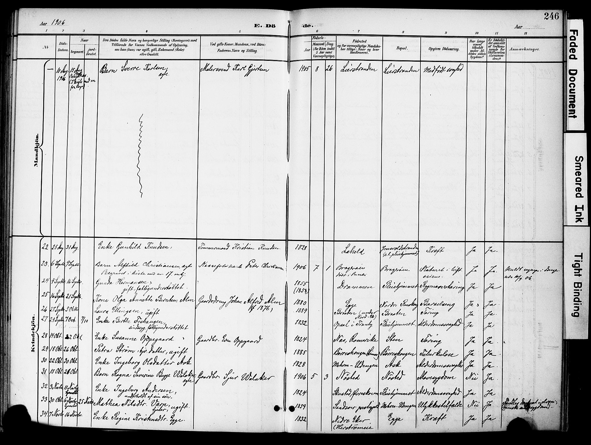 Lier kirkebøker, AV/SAKO-A-230/F/Fa/L0017: Parish register (official) no. I 17, 1901-1908, p. 246